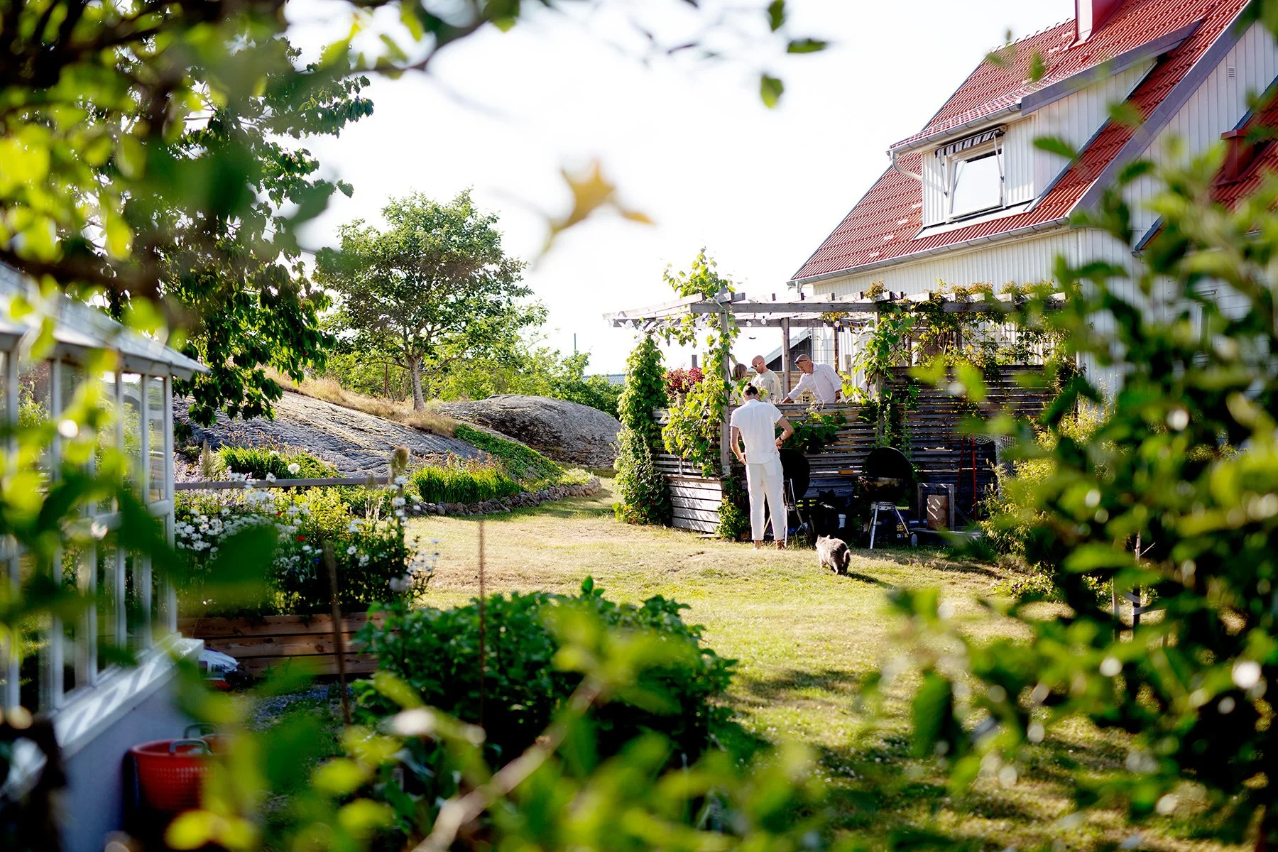blogg-230623midsommarnordsvahn18.jpg
