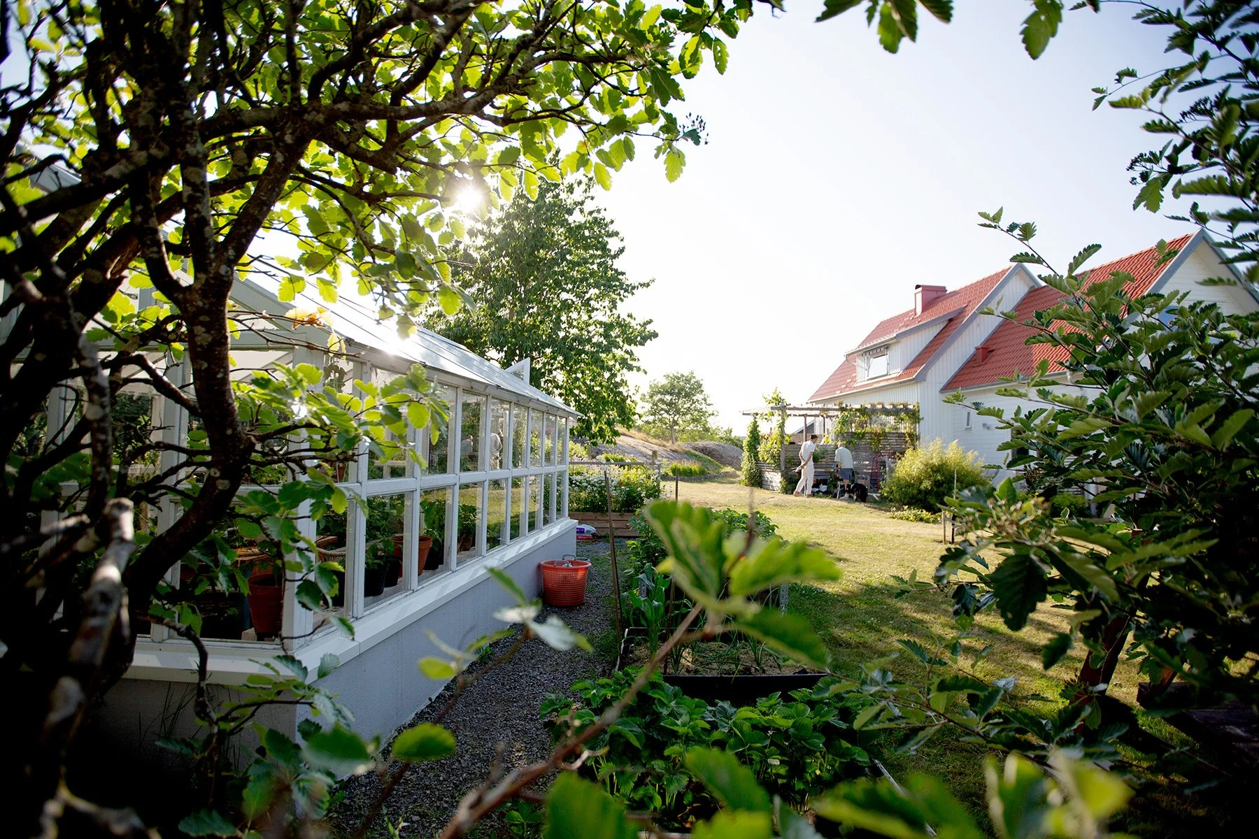 blogg-230623midsommarnordsvahn22.jpg