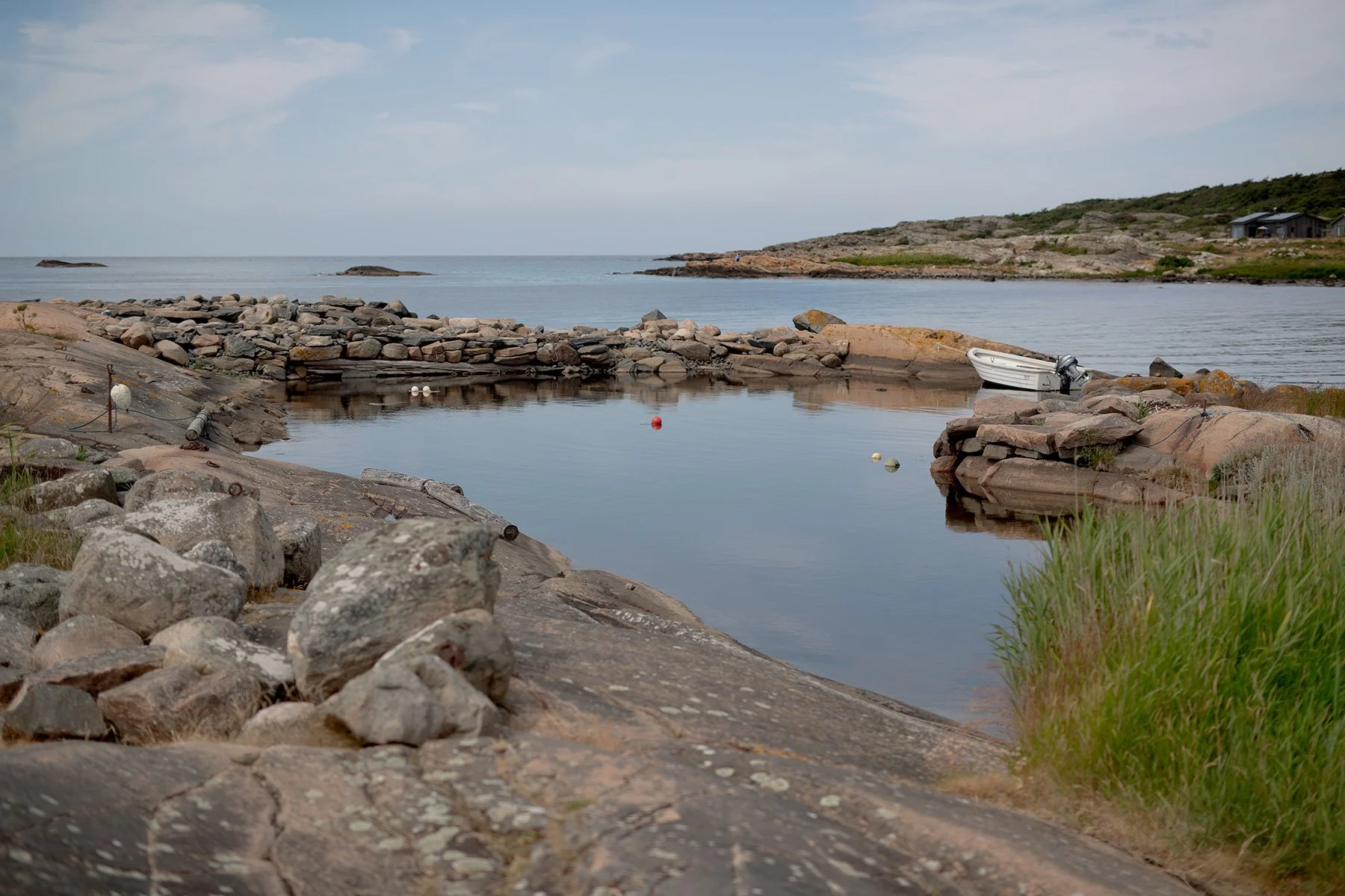 blogg-230624kosanna2.jpg