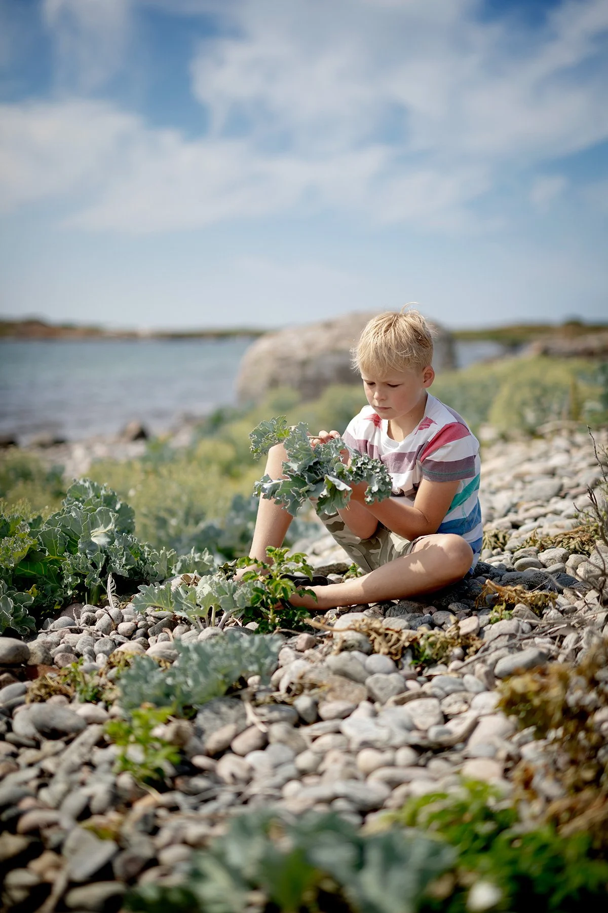 blogg-230624strandkalsplock.jpg
