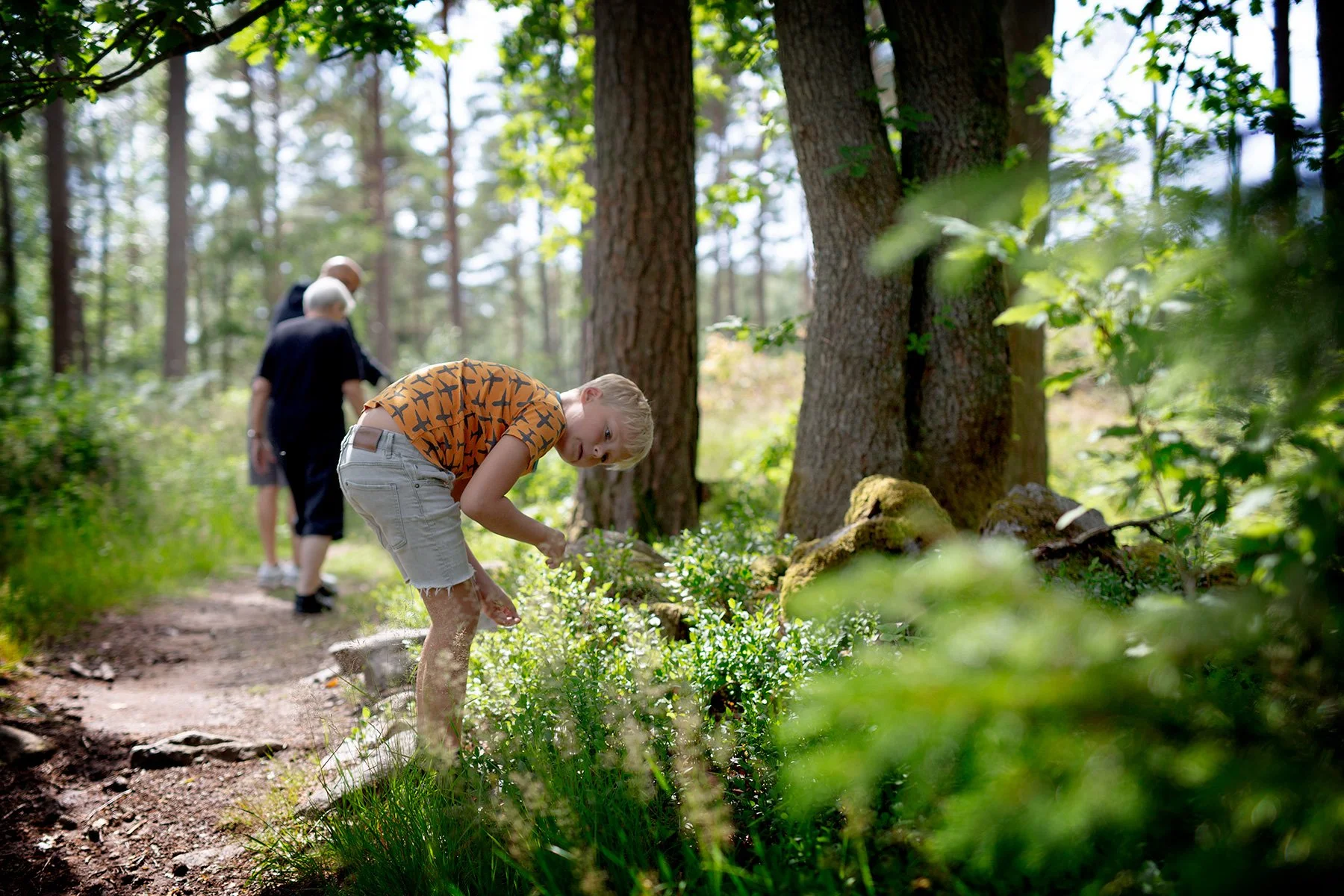blogg-230630iglasjon1.jpg