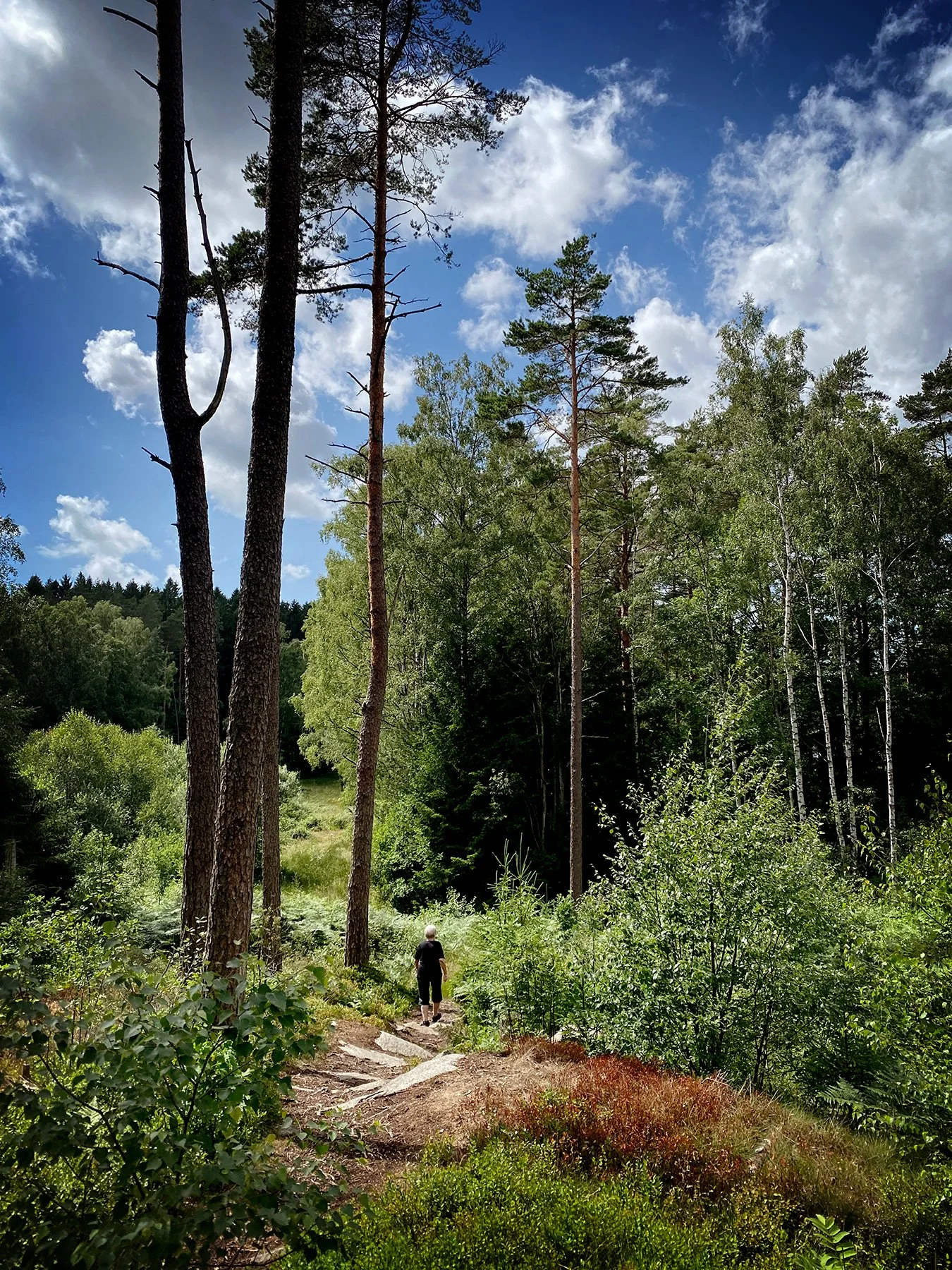 blogg-230630iglasjon3.jpg
