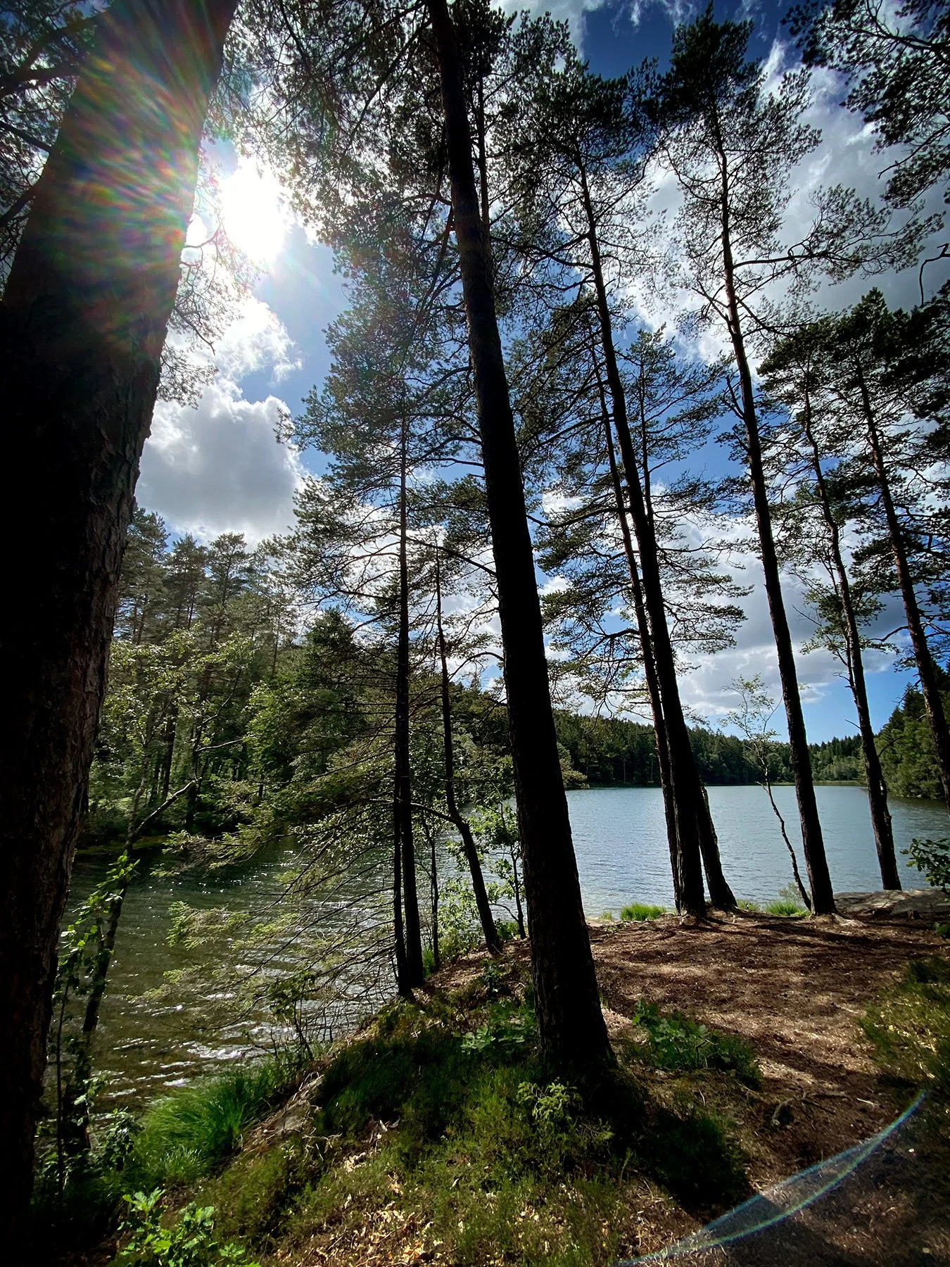 blogg-230630iglasjon7.jpg