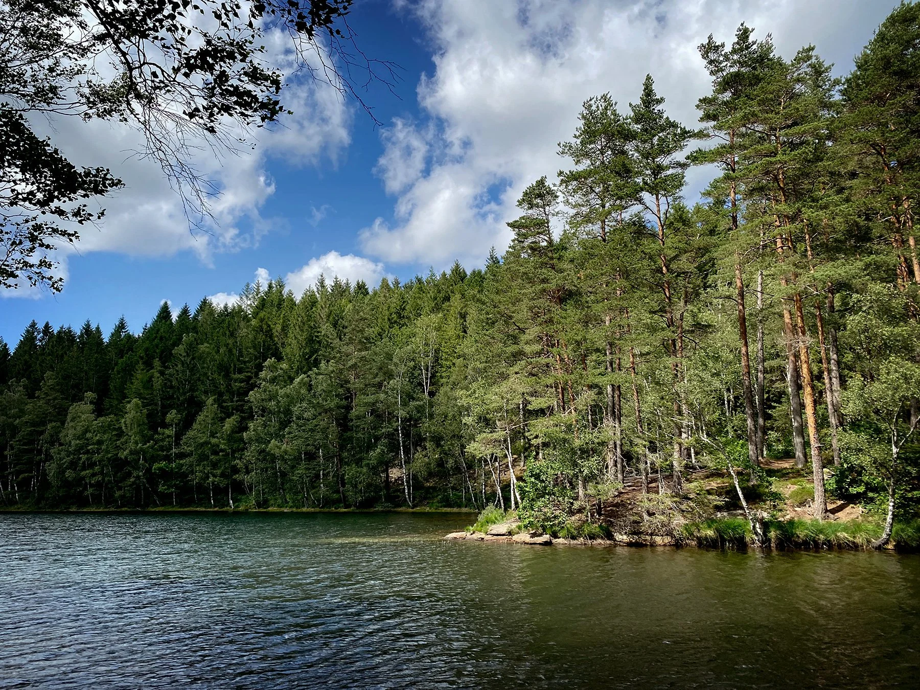 blogg-230630iglasjon9.jpg