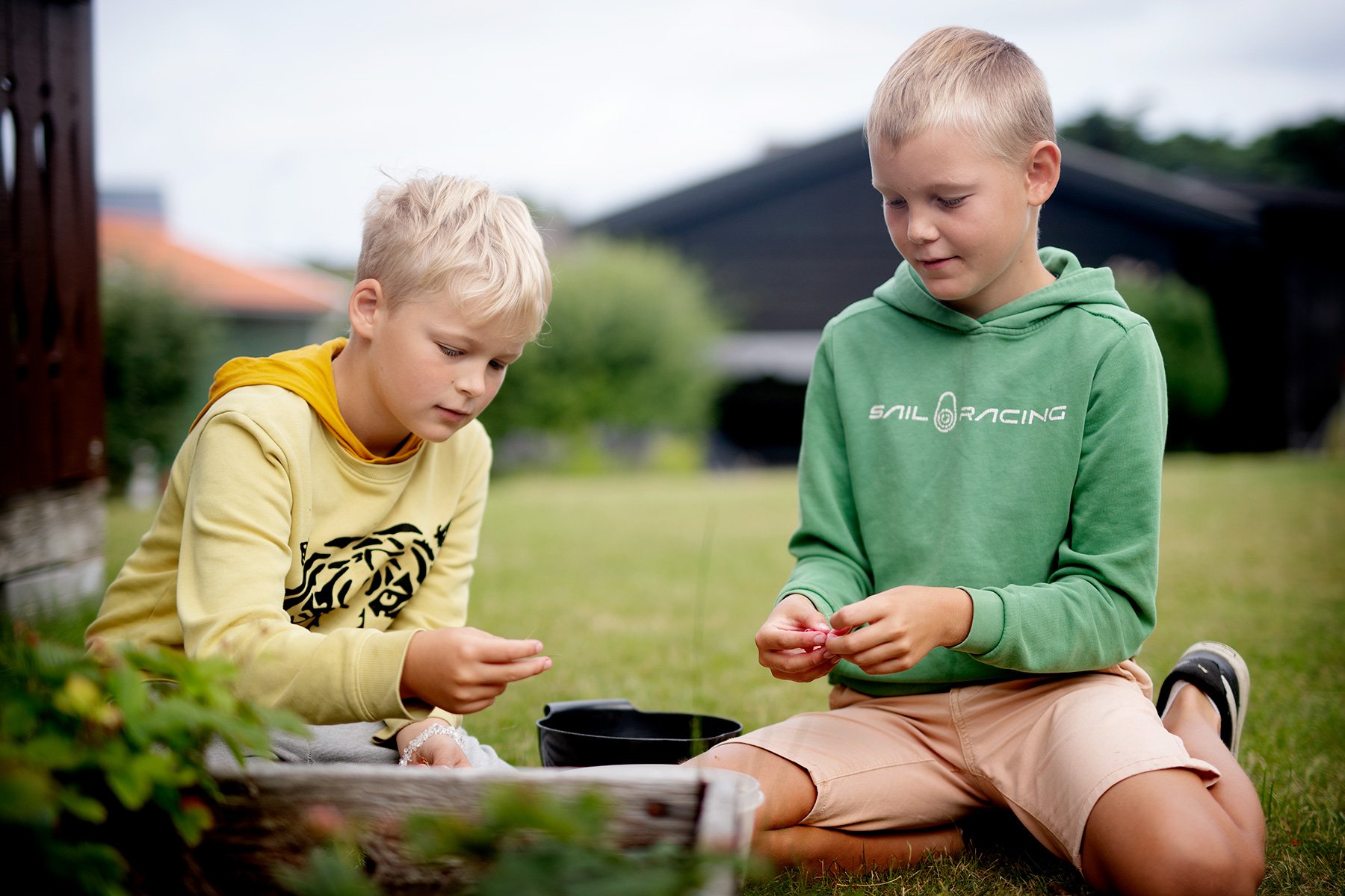 blogg-230705rasmusbertilplockarbar5.jpg