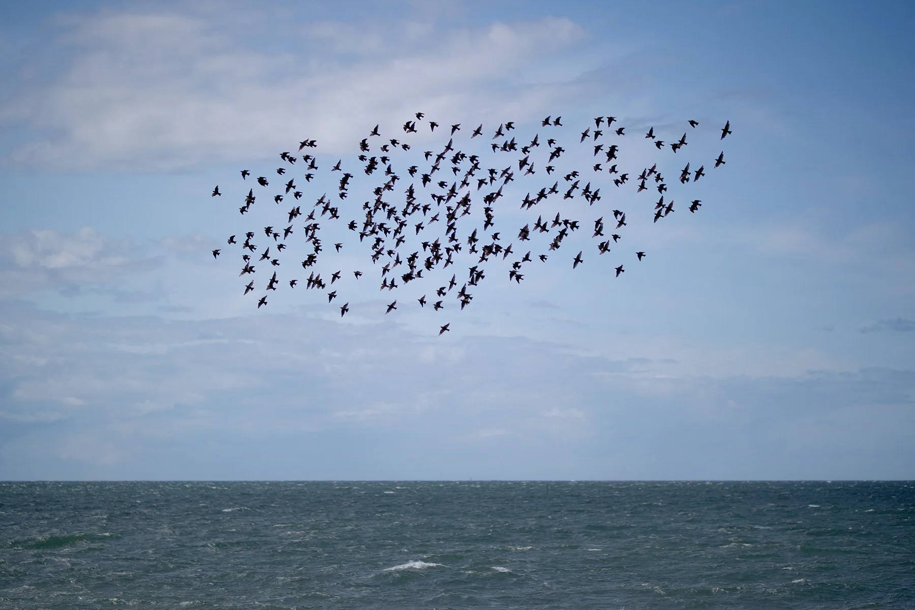 blogg-230718faglaroverhavet2.jpg