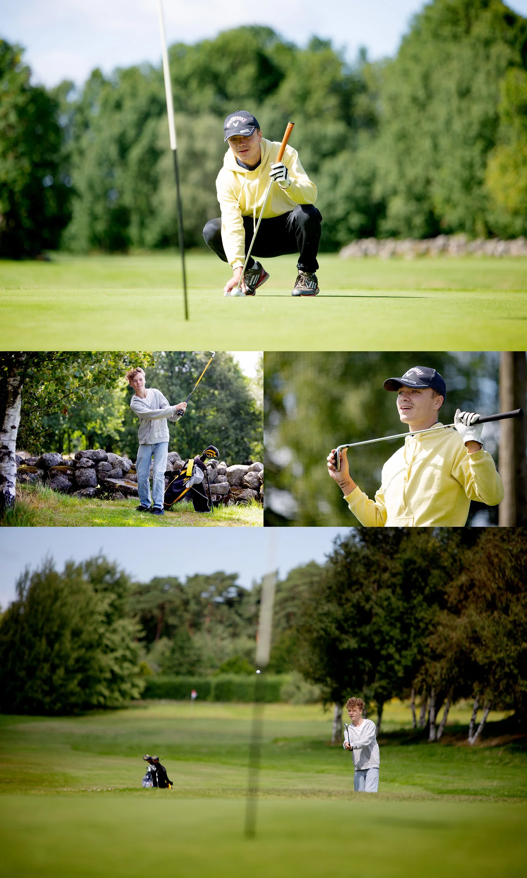 Golfarna