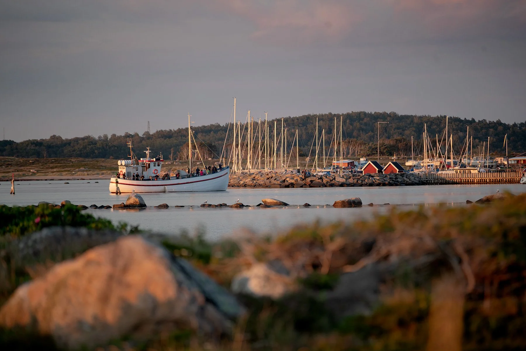 blogg-230802kvallsdoppfyren6.jpg