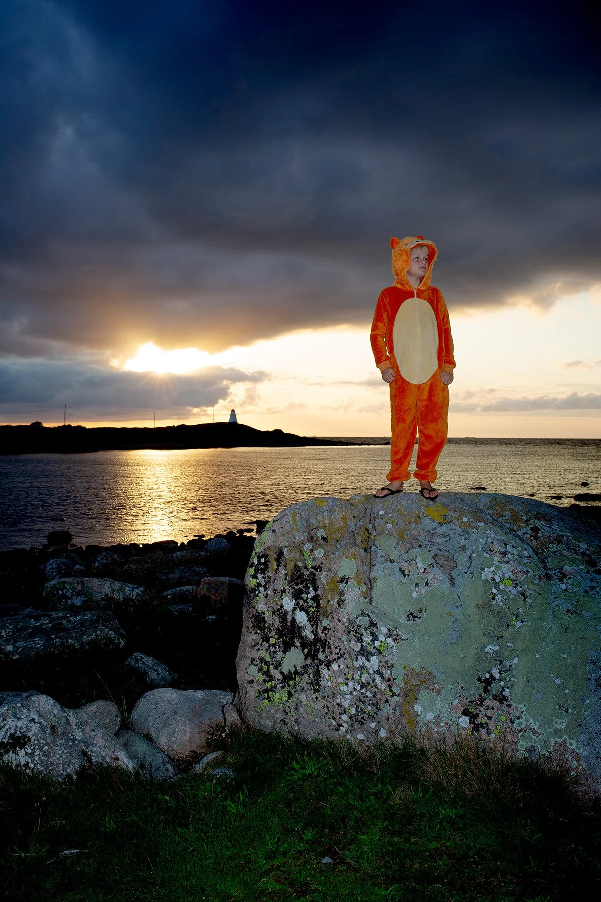 Lejon mot kvällsdopp