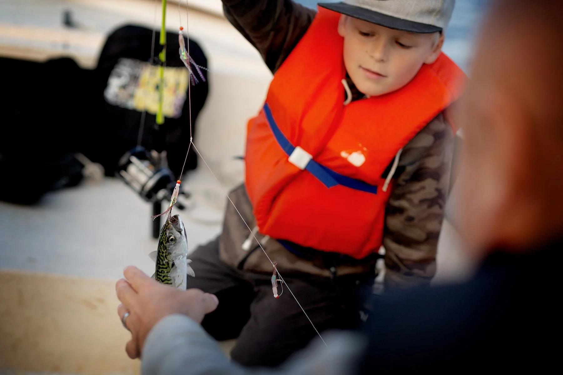 blogg-230830makrillfiske14.jpg