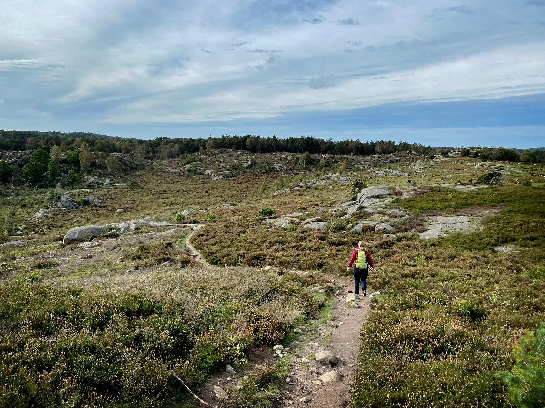 blogg-230925sandsjobackajosefine11.jpg