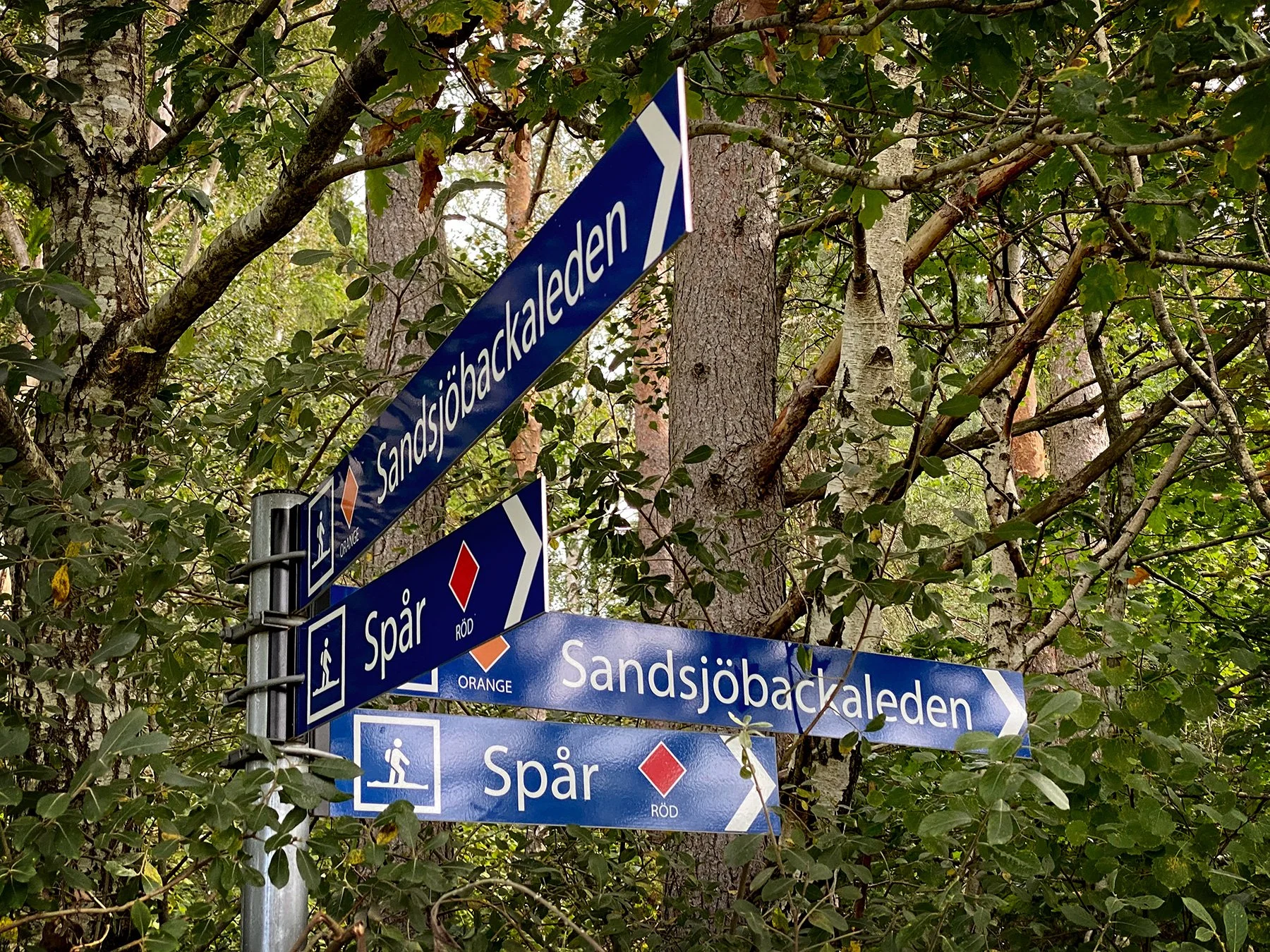 blogg-230925sandsjobackajosefine18.jpg