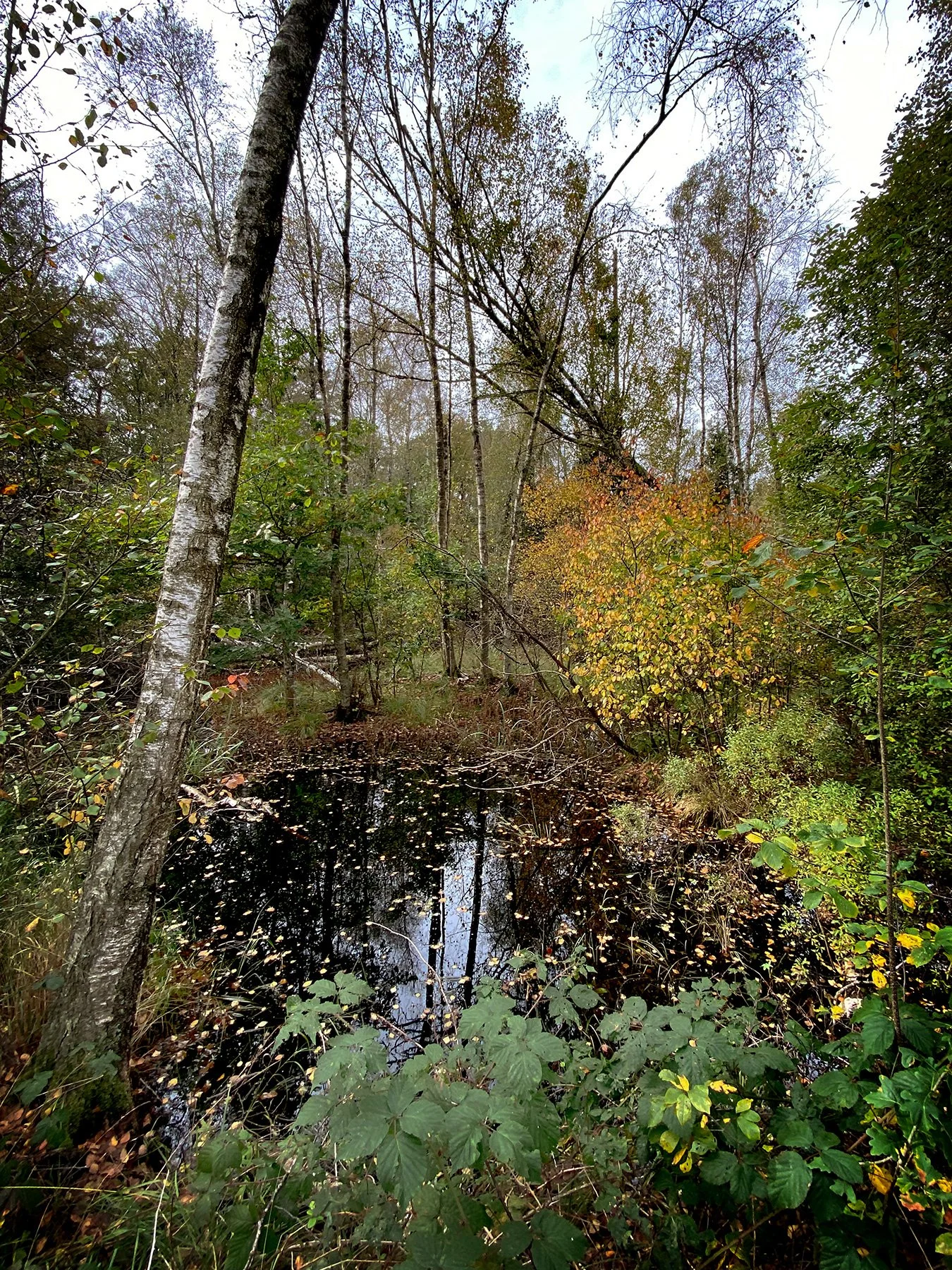 blogg-230925sandsjobackajosefine19.jpg