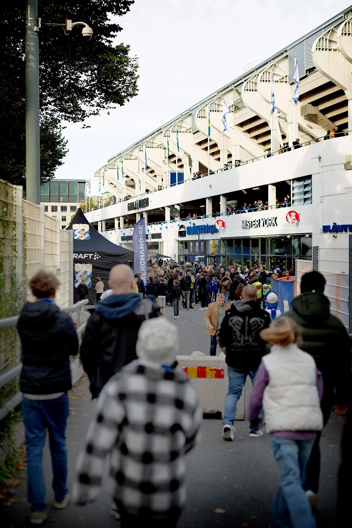 blogg-231007blavittsirius1.jpg