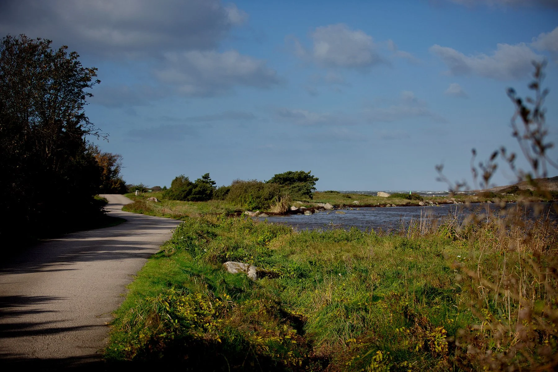 blogg-231012stormvindarvidfyren1.jpg