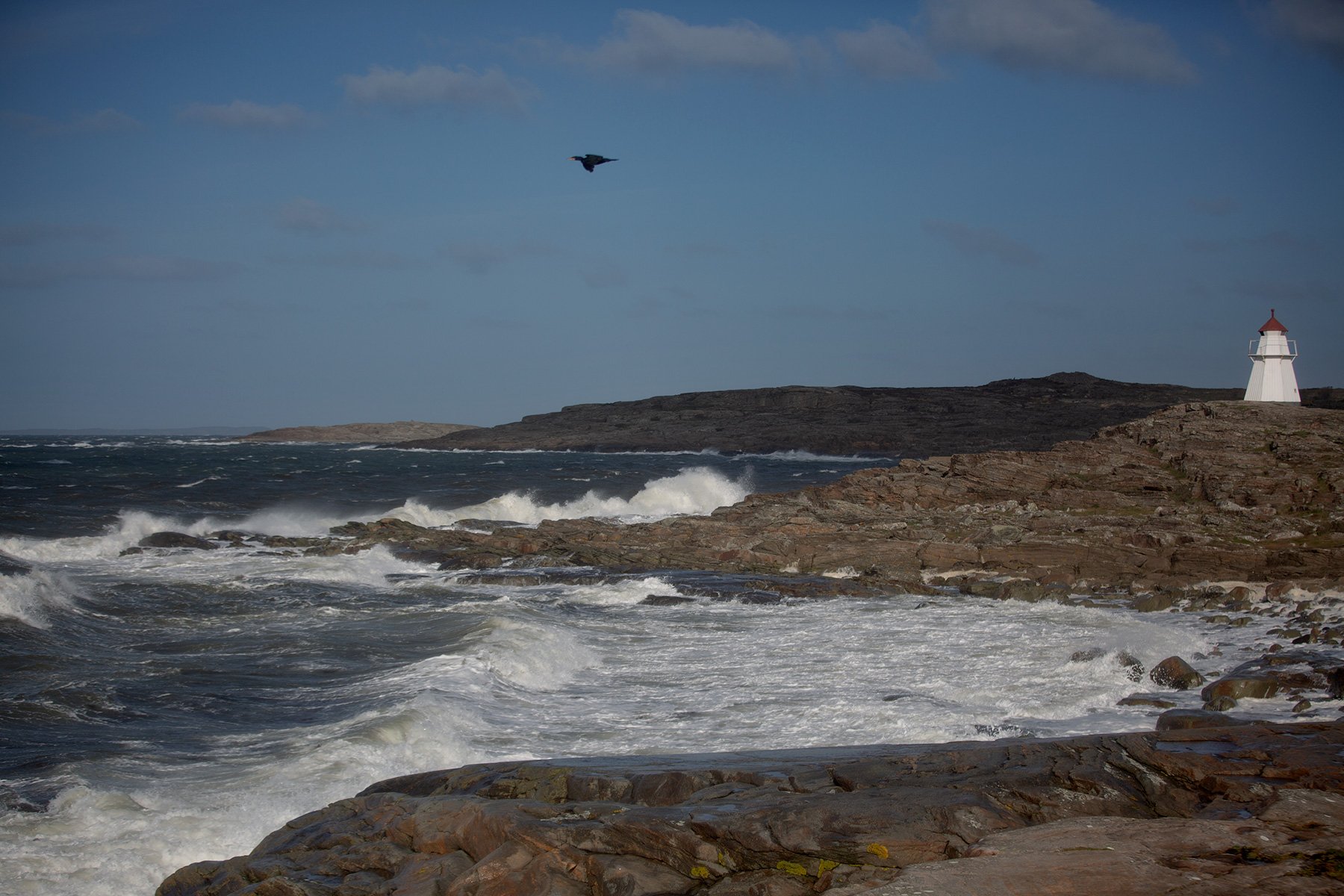 blogg-231012stormvindarvidfyren15.jpg
