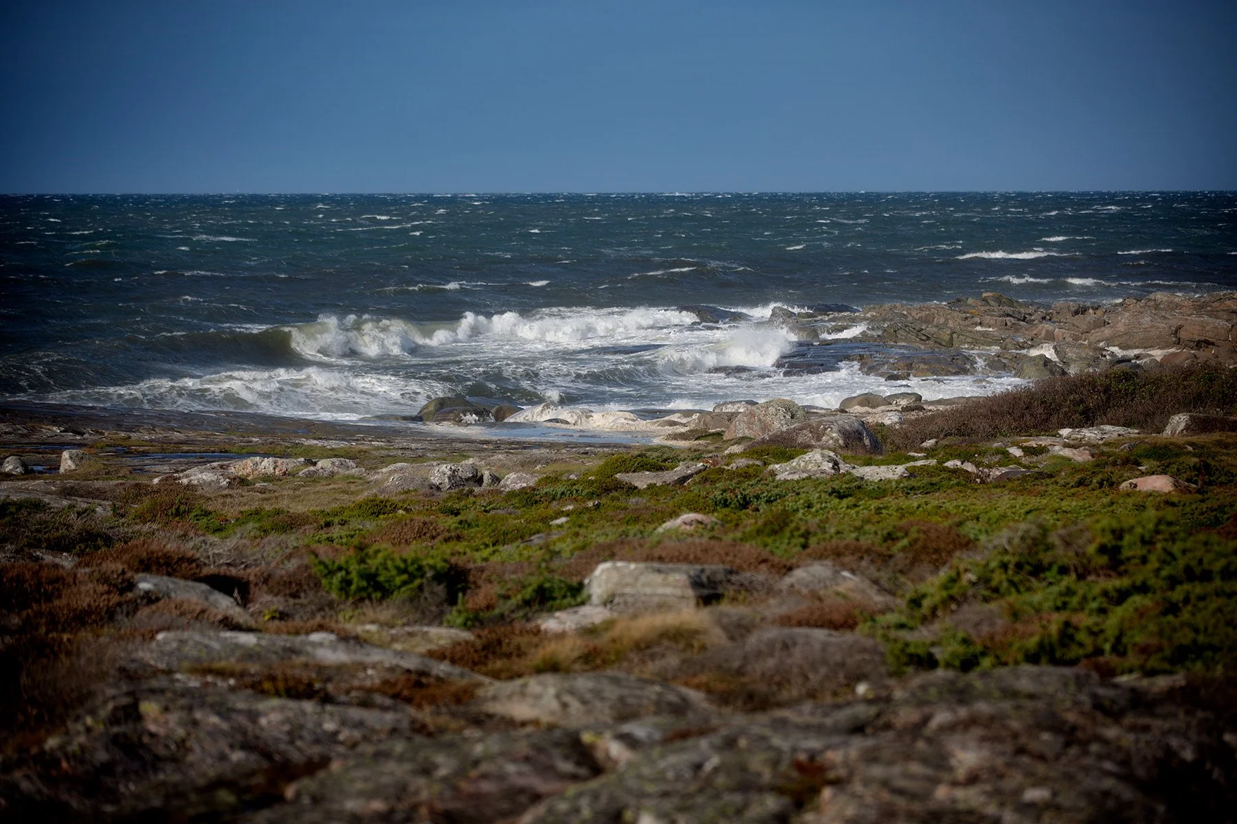 blogg-231012stormvindarvidfyren20.jpg