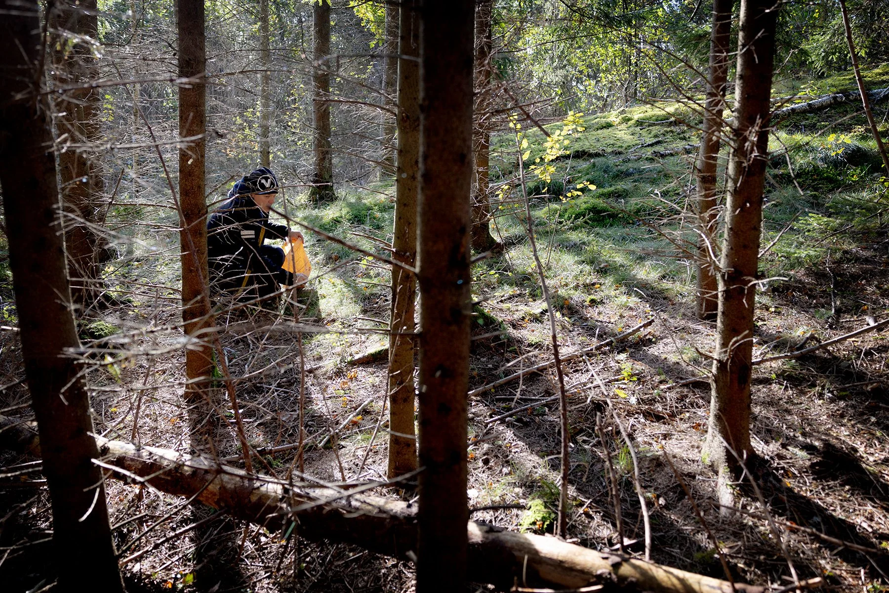 blogg-231015ambjorntorpsvamp8.jpg