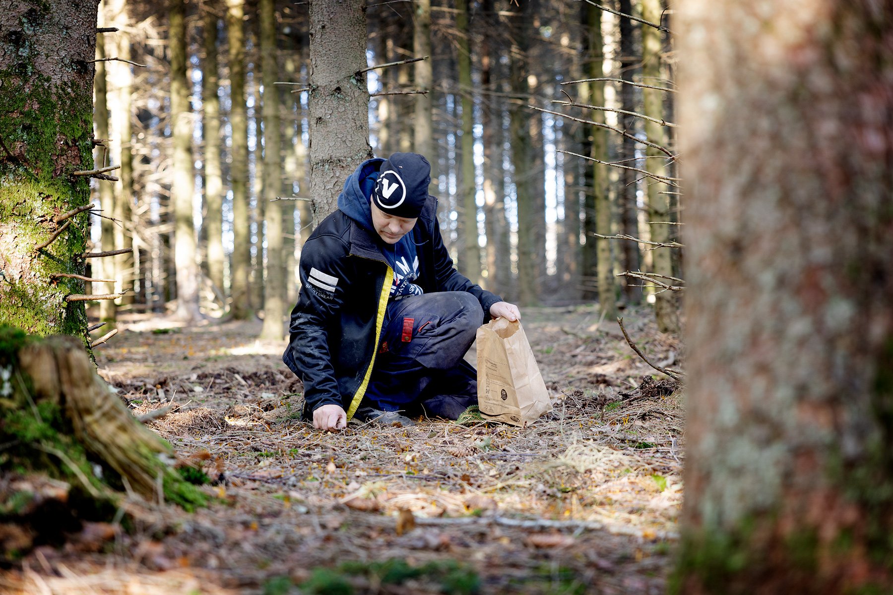 blogg-231015ambjorntorpsvamp12.jpg