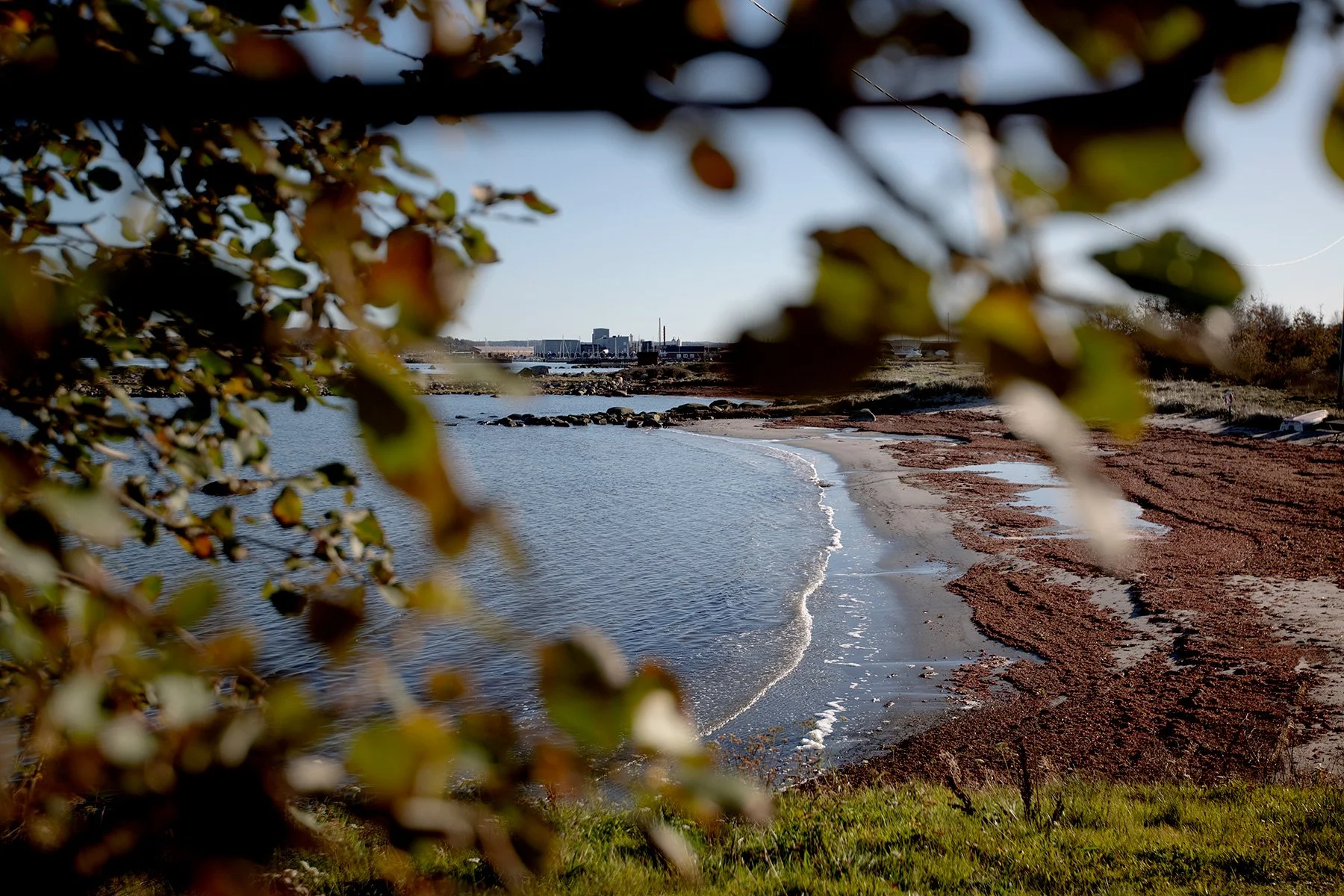 blogg-231016fyrenpromenad1.jpg