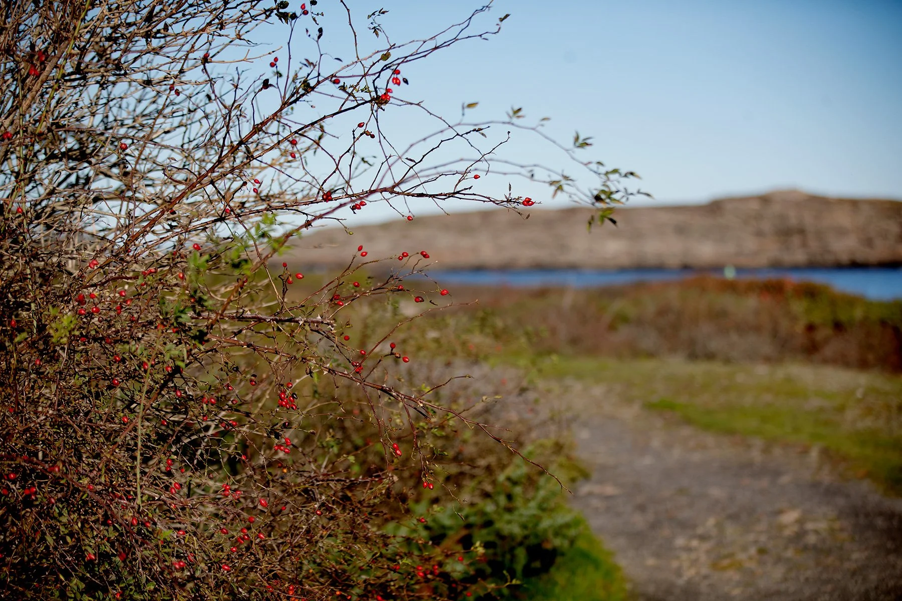 blogg-231016fyrenpromenad2.jpg