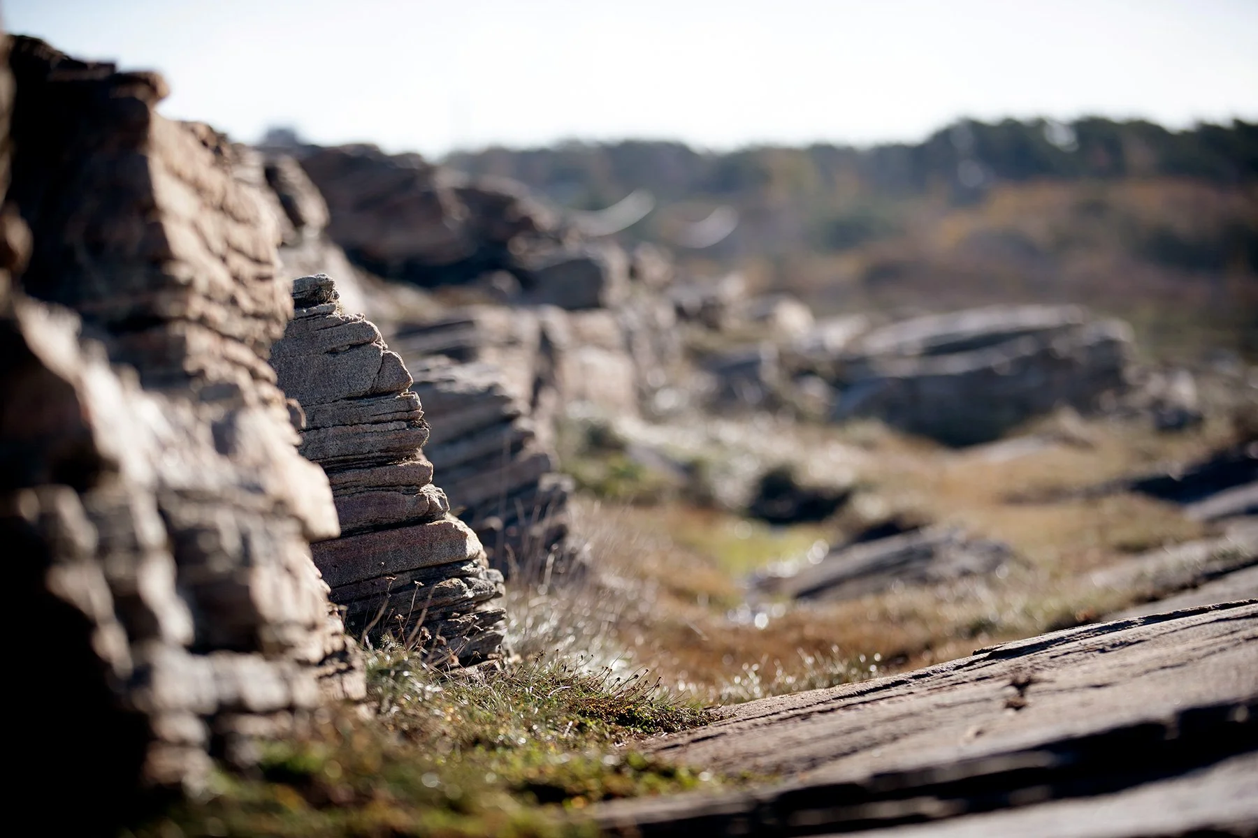 blogg-231016fyrenpromenad14.jpg