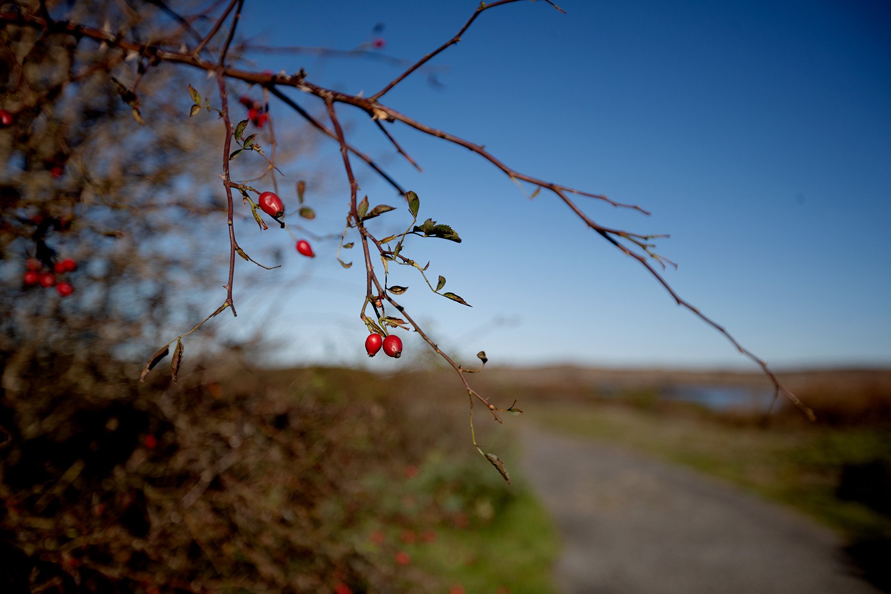 blogg-231016fyrenpromenad16.jpg