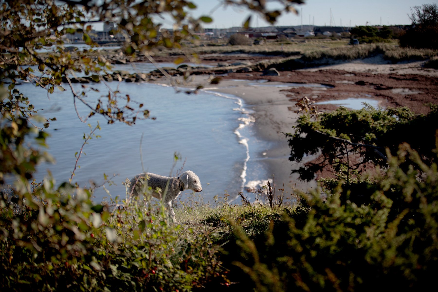 blogg-231016fyrenpromenad20.jpg
