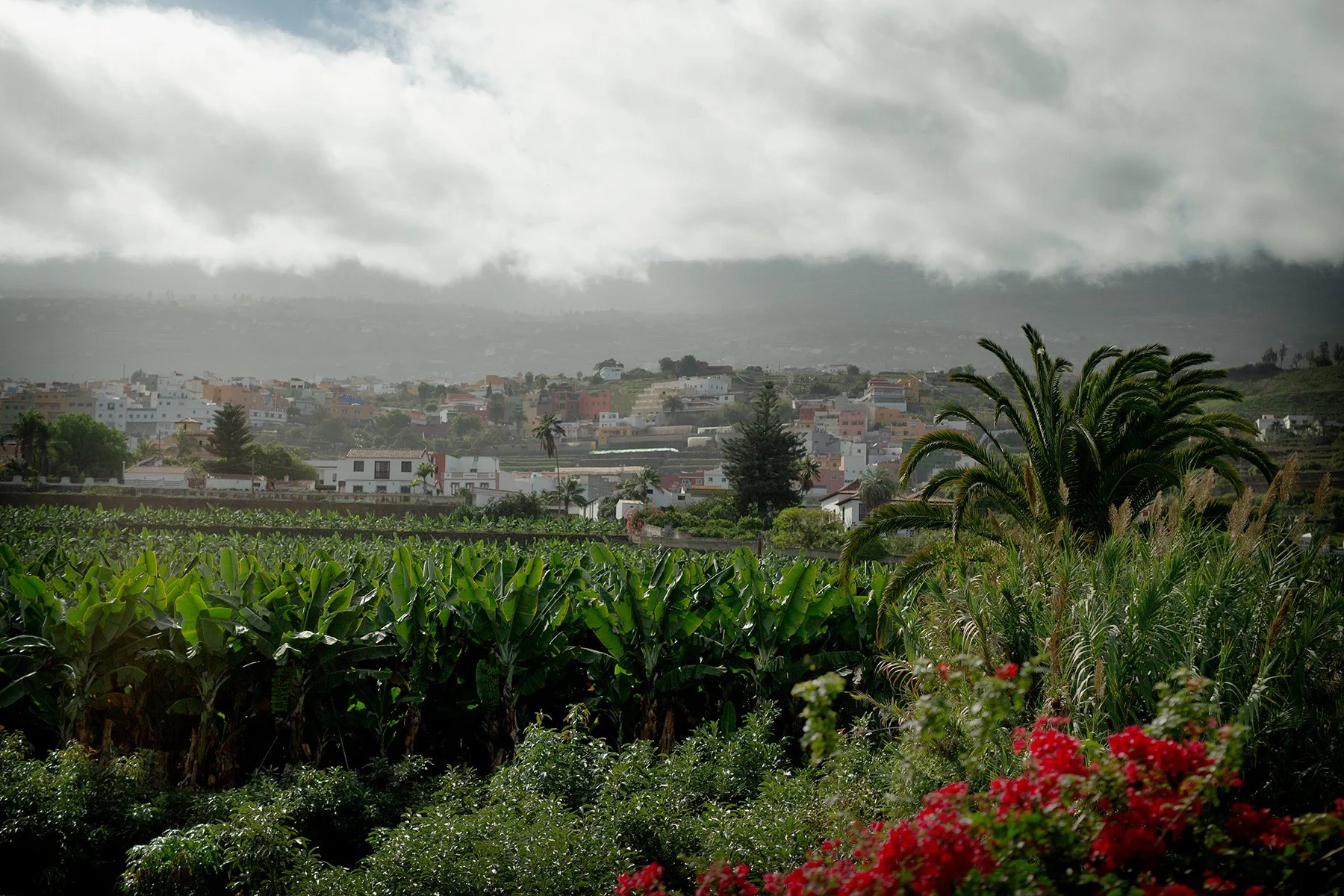 blogg-231104puertodelacruz1.jpg