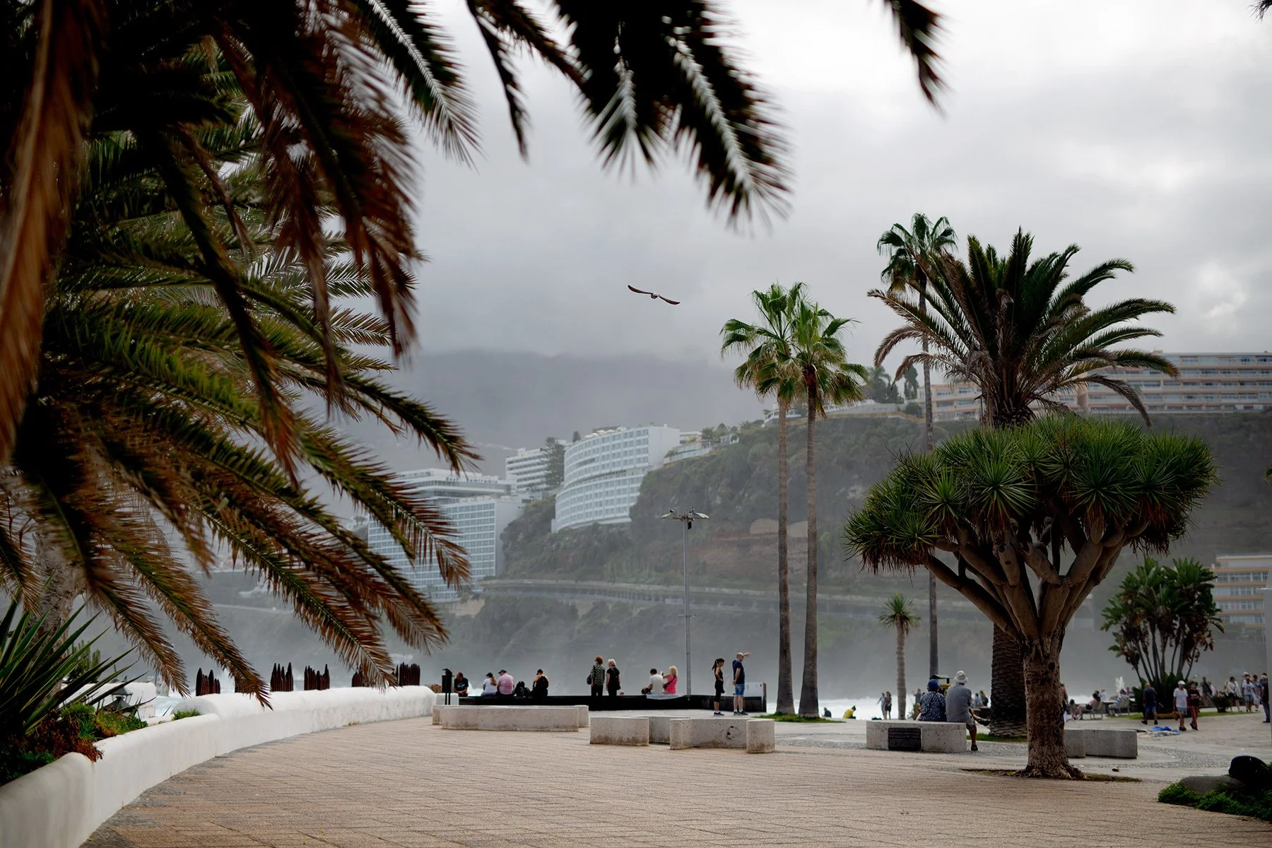 blogg-231104puertodelacruz12.jpg