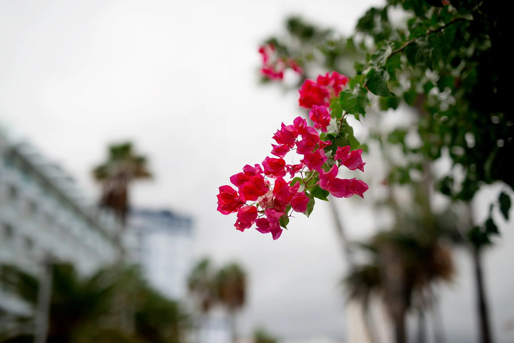 blogg-231104puertodelacruz13.jpg