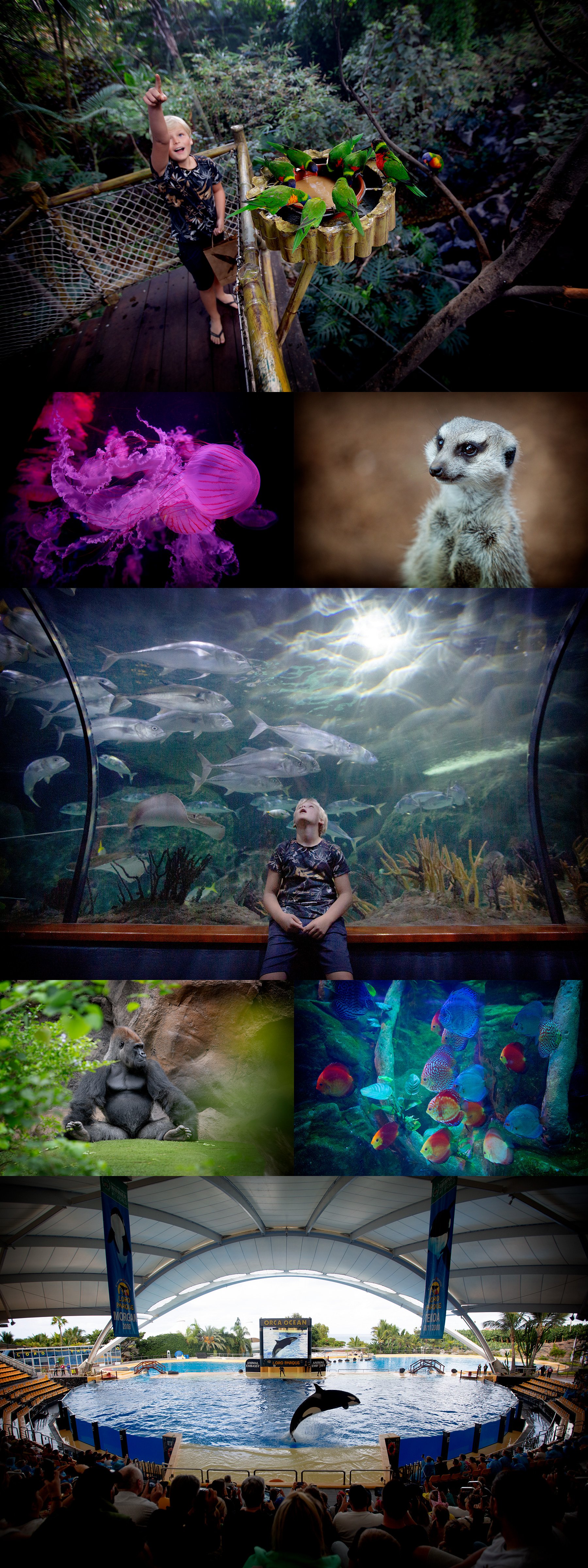 Loro parque
