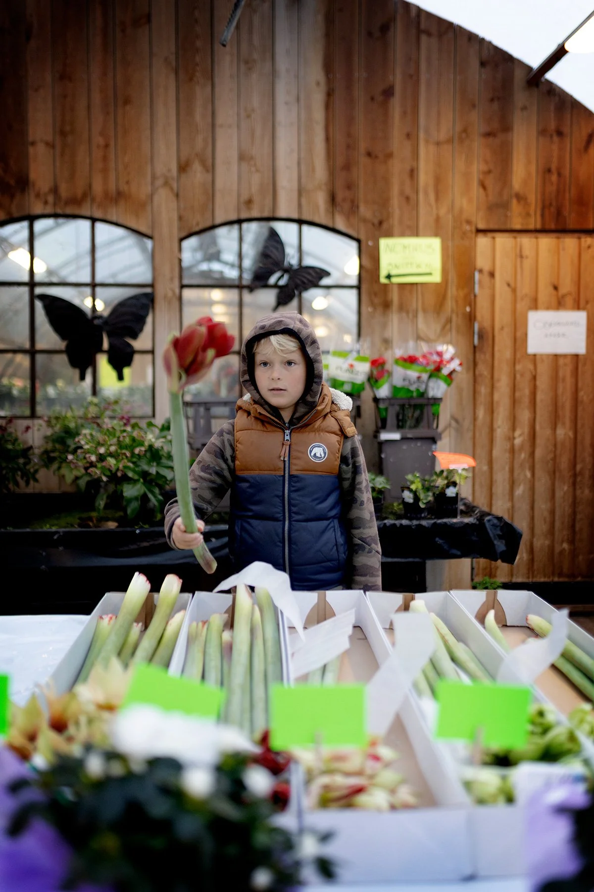 blogg-231112sondagmedbertil6.jpg