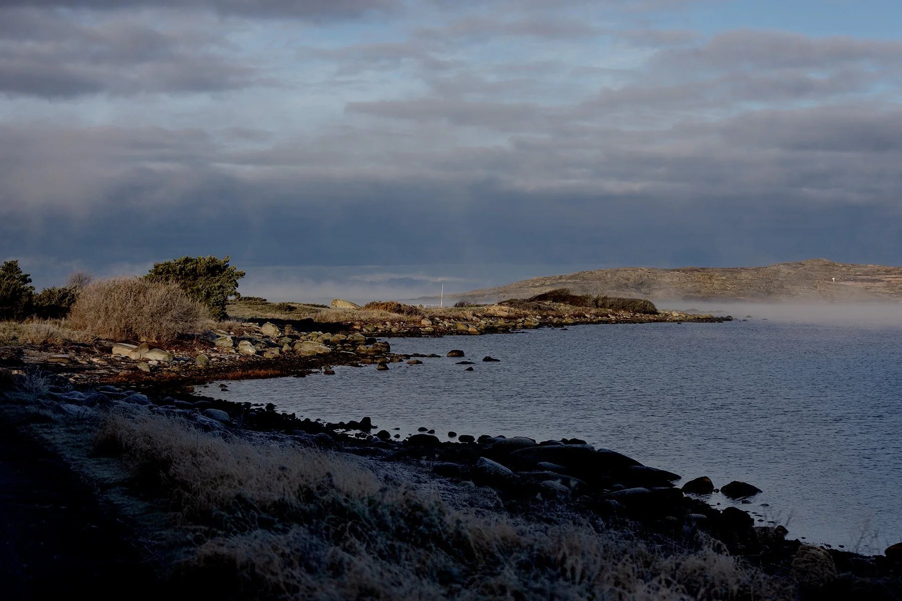 blogg-231118frostpromenad12.jpg