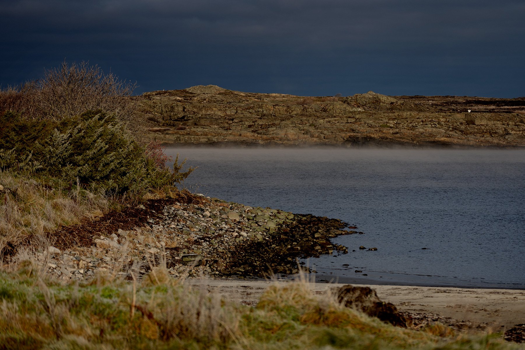 blogg-231118frostpromenad20.jpg