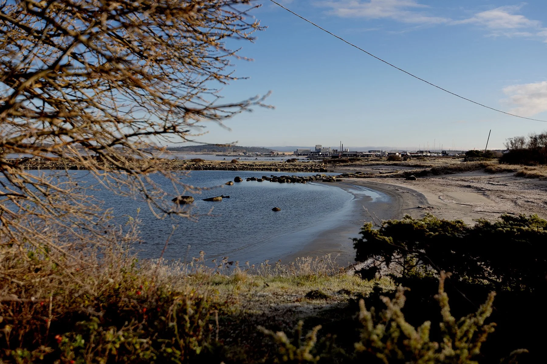 blogg-231118frostpromenad22.jpg
