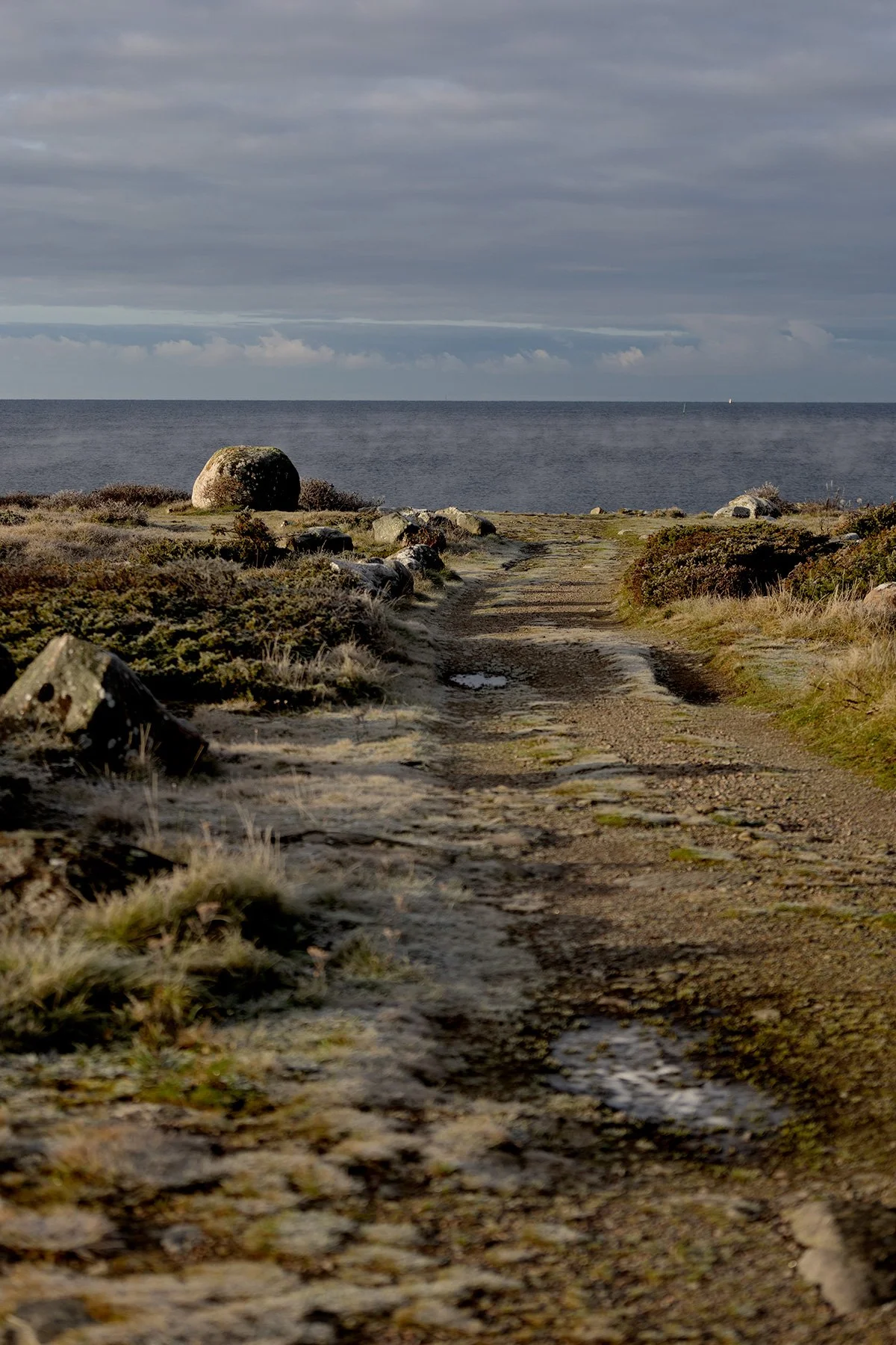 blogg-231118frostpromenad23.jpg