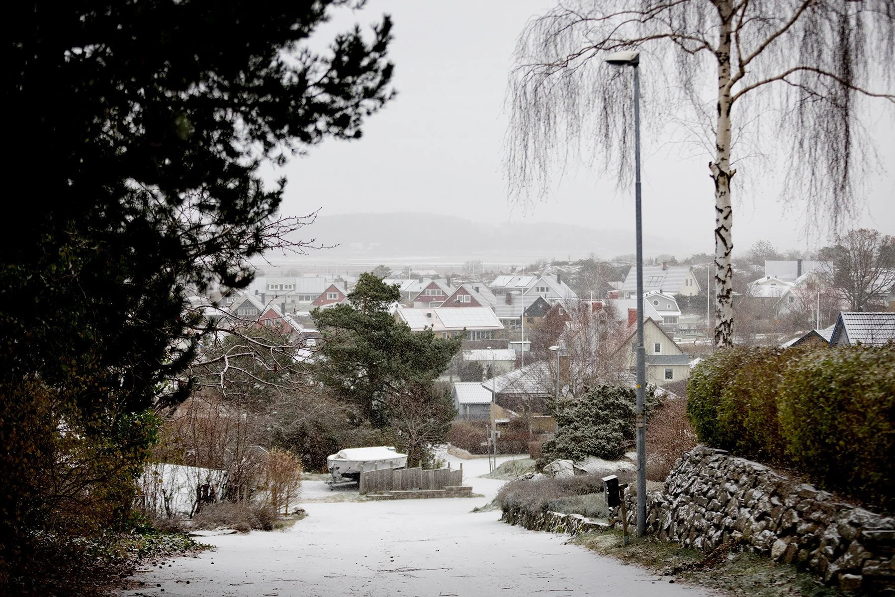 blogg-231129forstasnon4.jpg