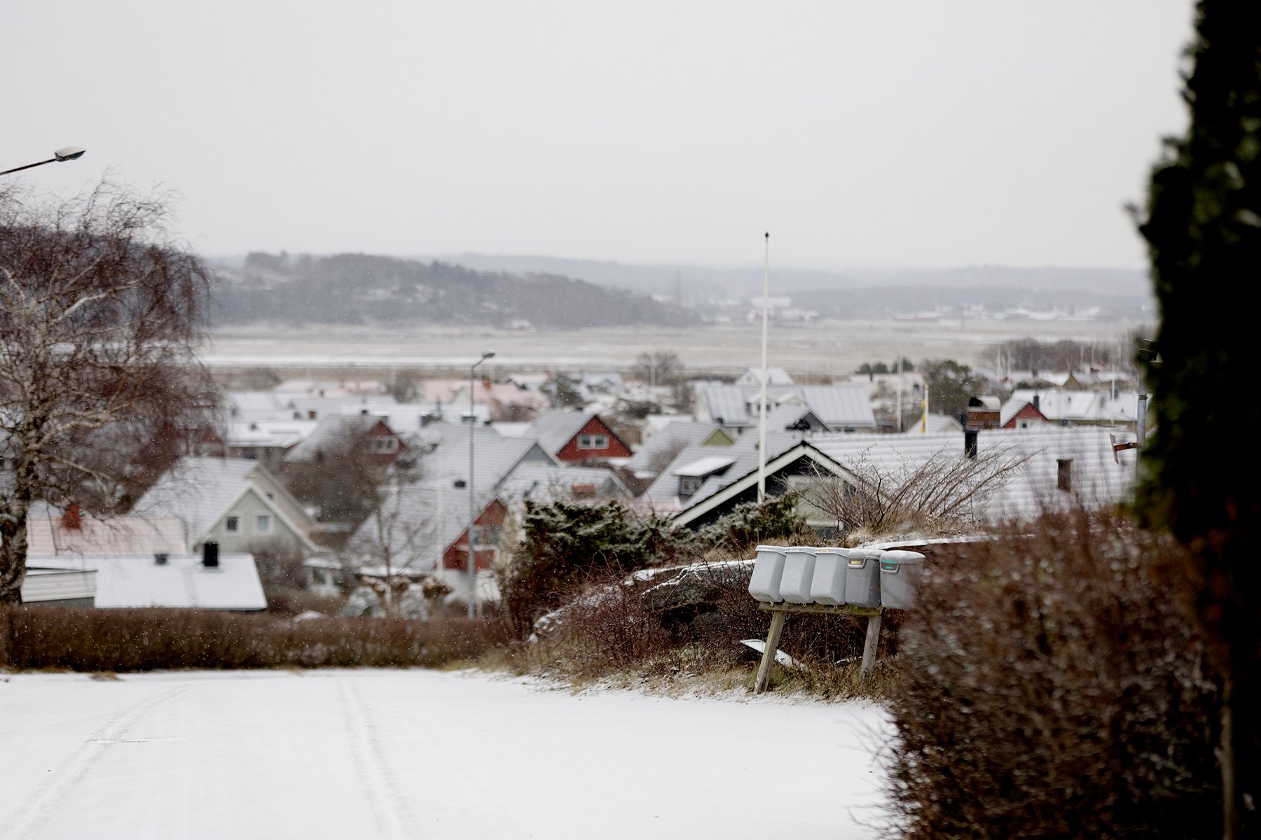 blogg-231129forstasnon8.jpg