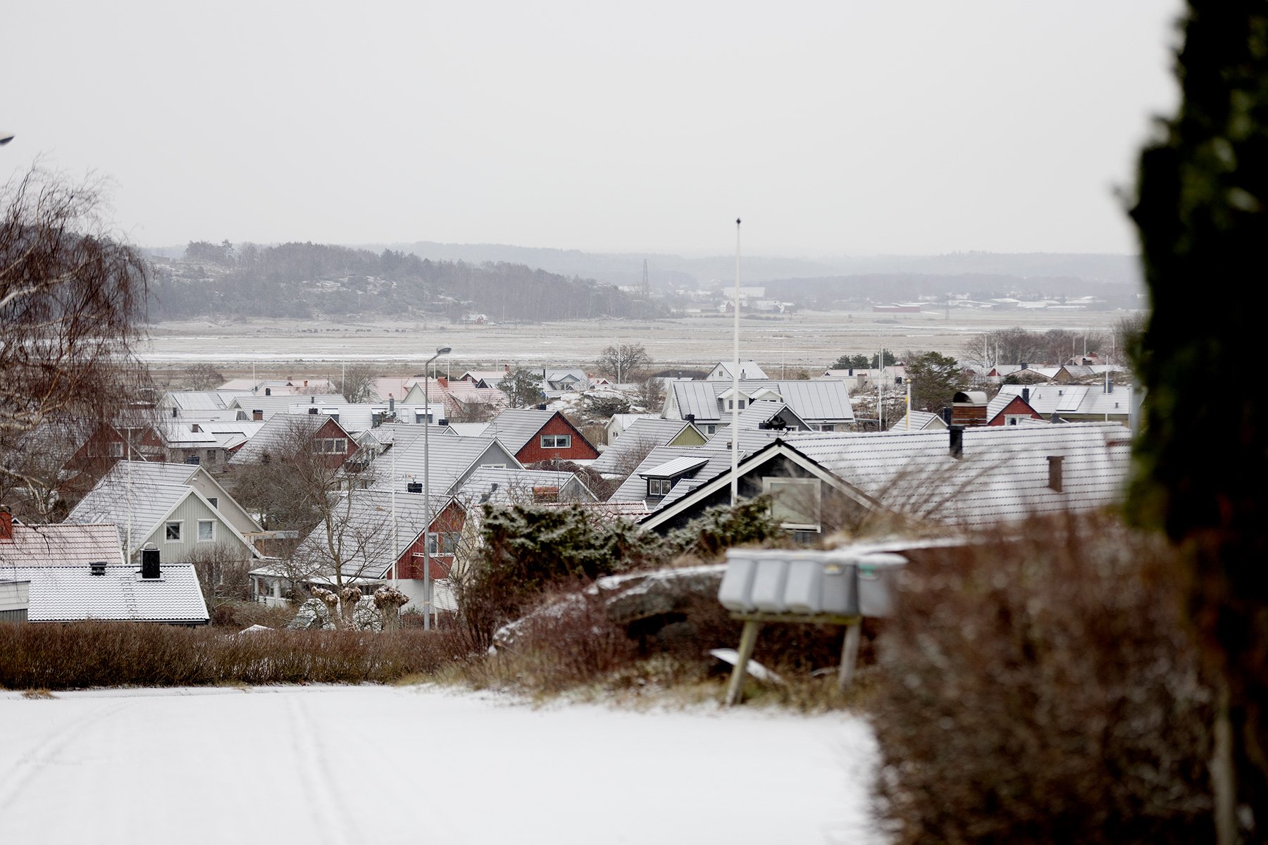 blogg-231129forstasnon9.jpg