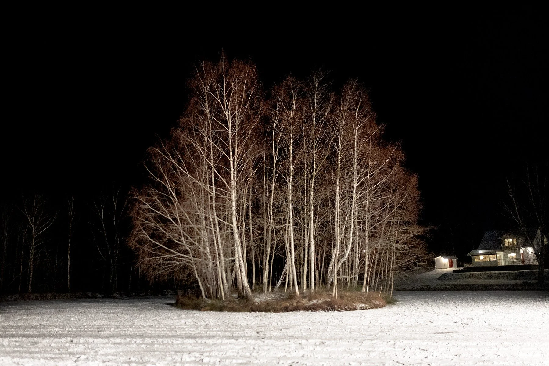 blogg-231129ispamossen3.jpg