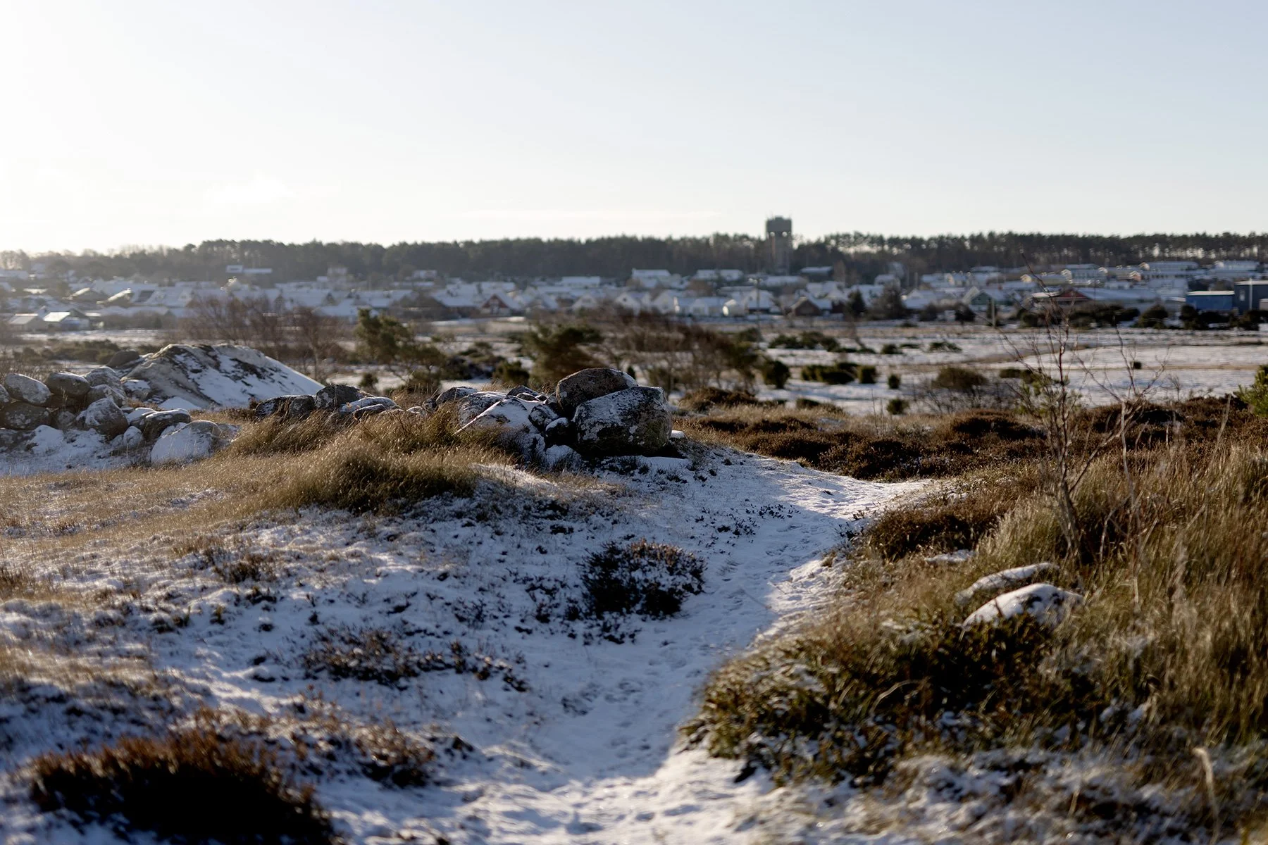 blogg-231130balesnosol1.jpg