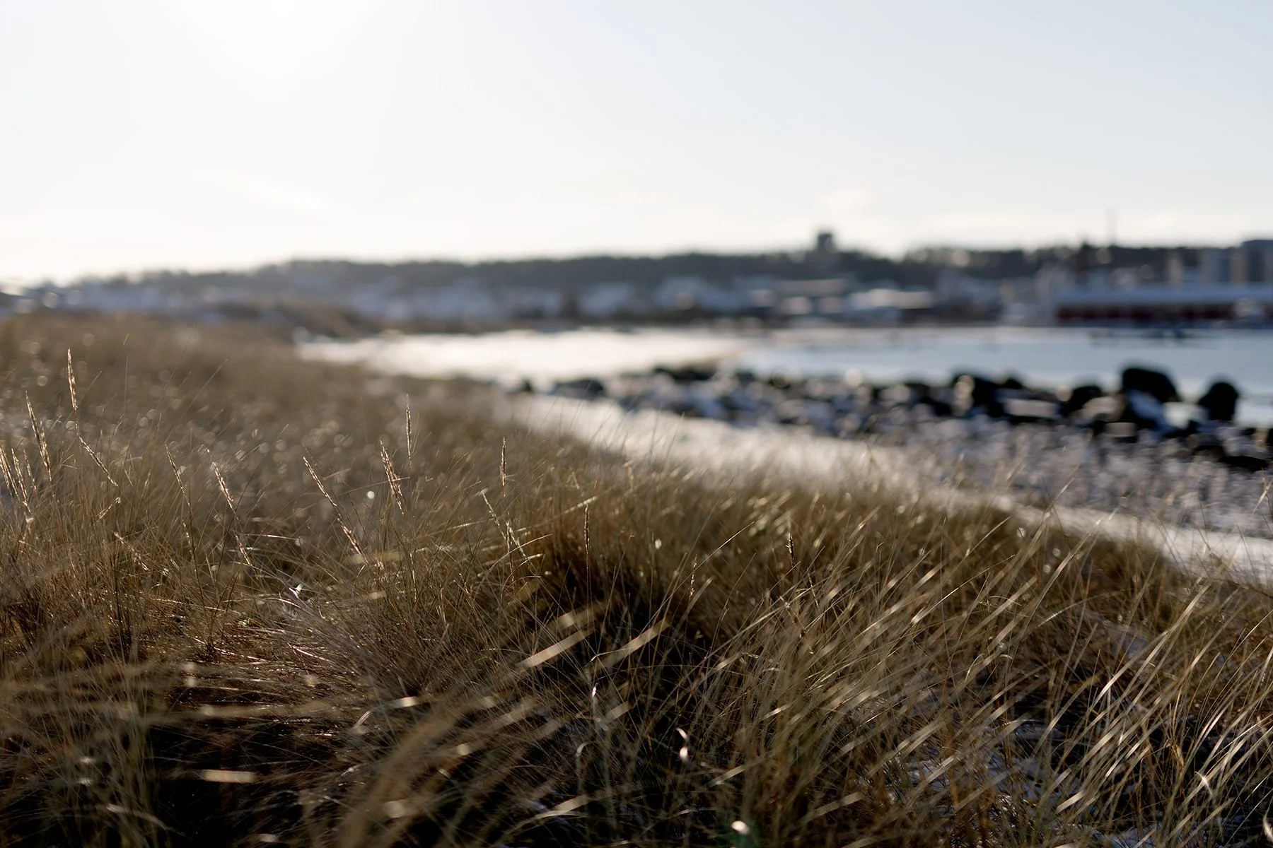 blogg-231130balesnosol4.jpg