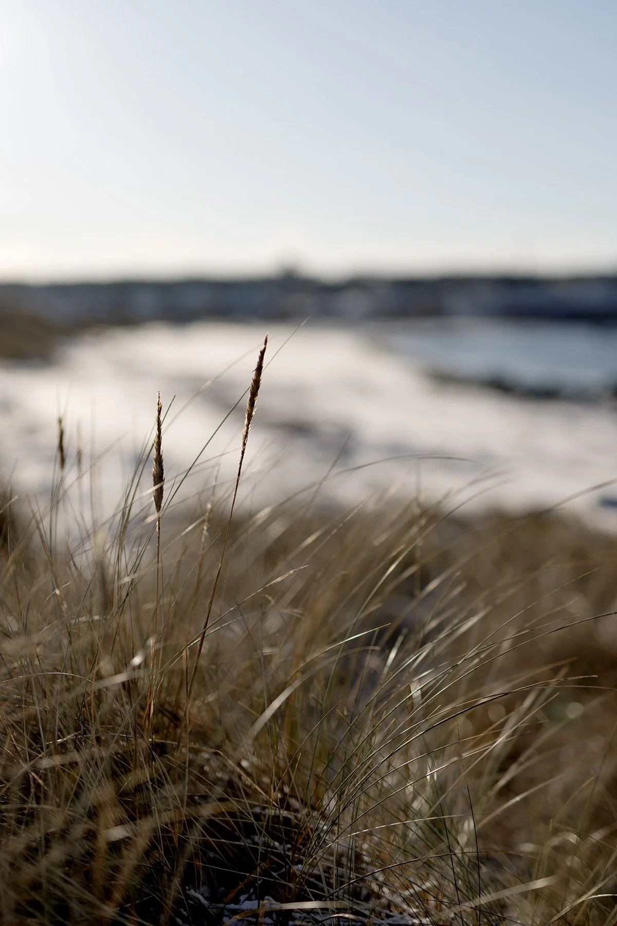 blogg-231130balesnosol9.jpg