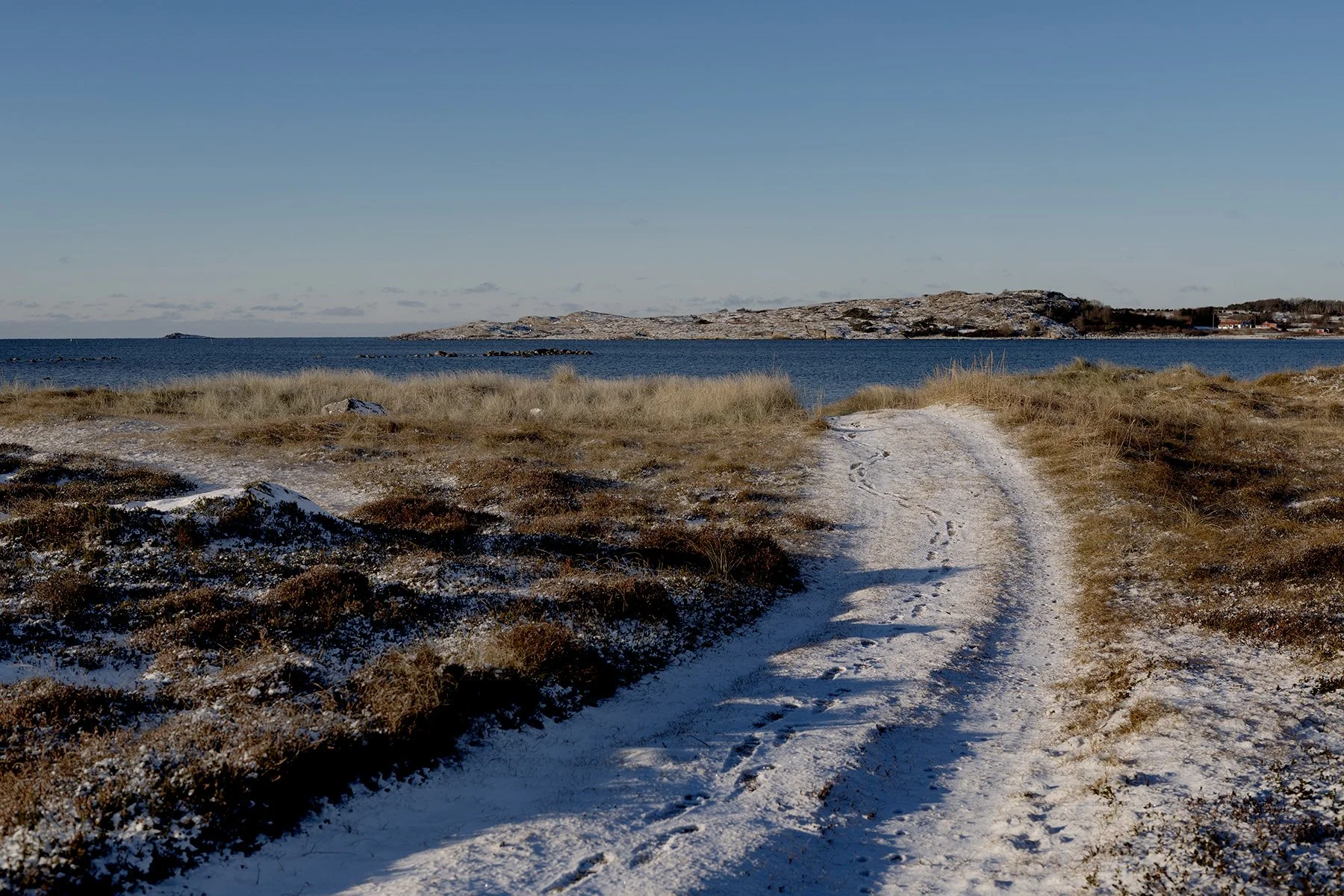 blogg-231130balesnosol15.jpg