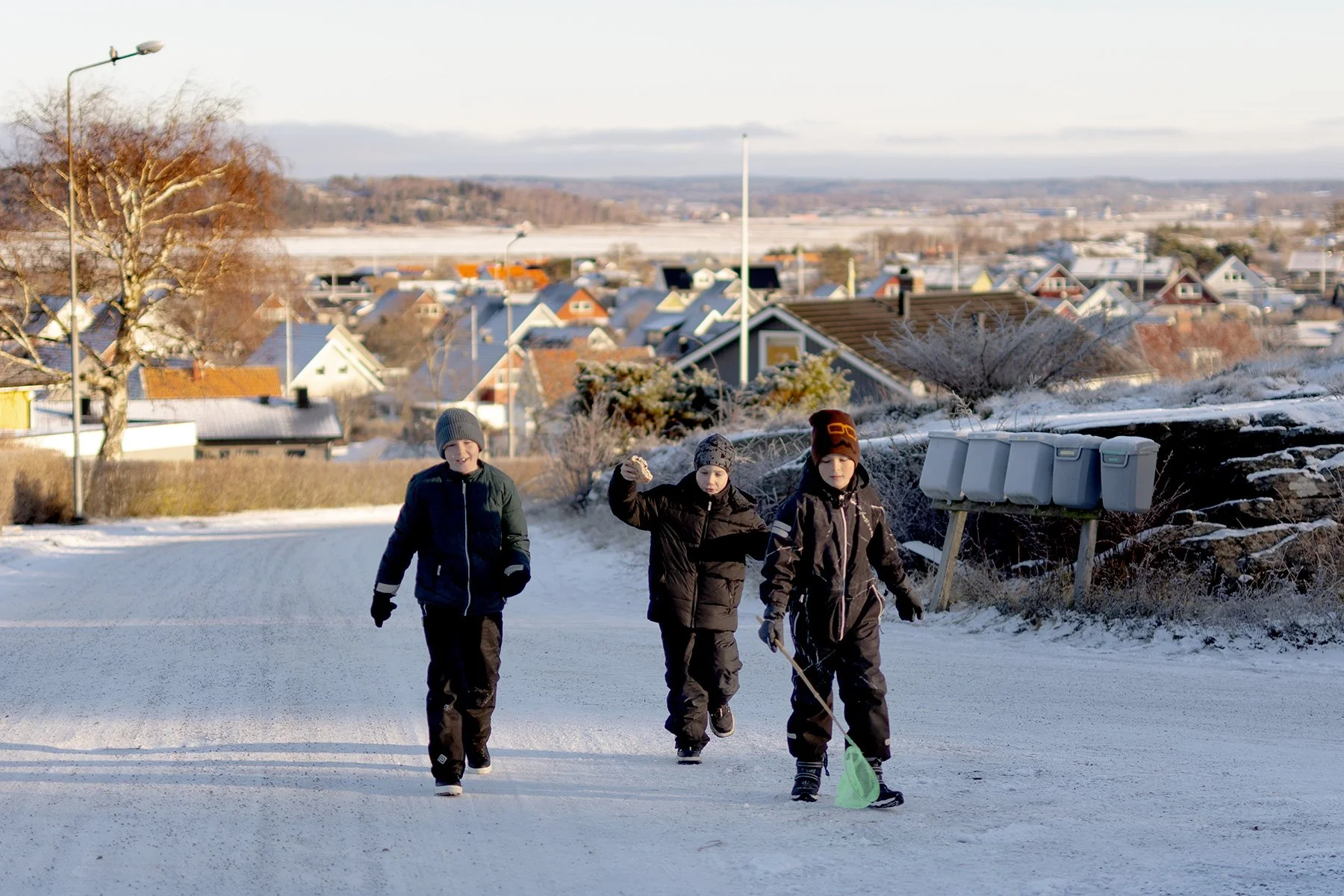 blogg-231203snoiskogenisen2.jpg
