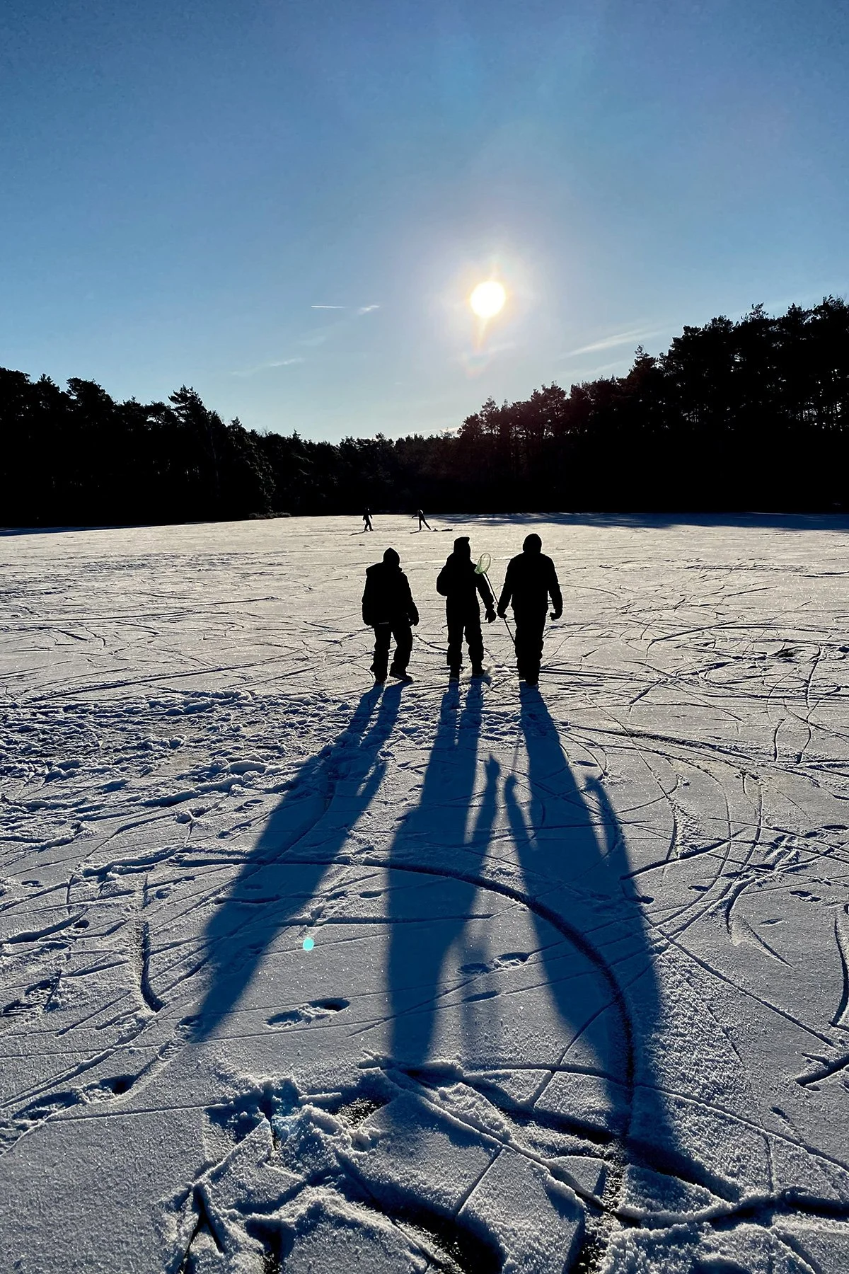 blogg-231203snoiskogenisen4.jpg