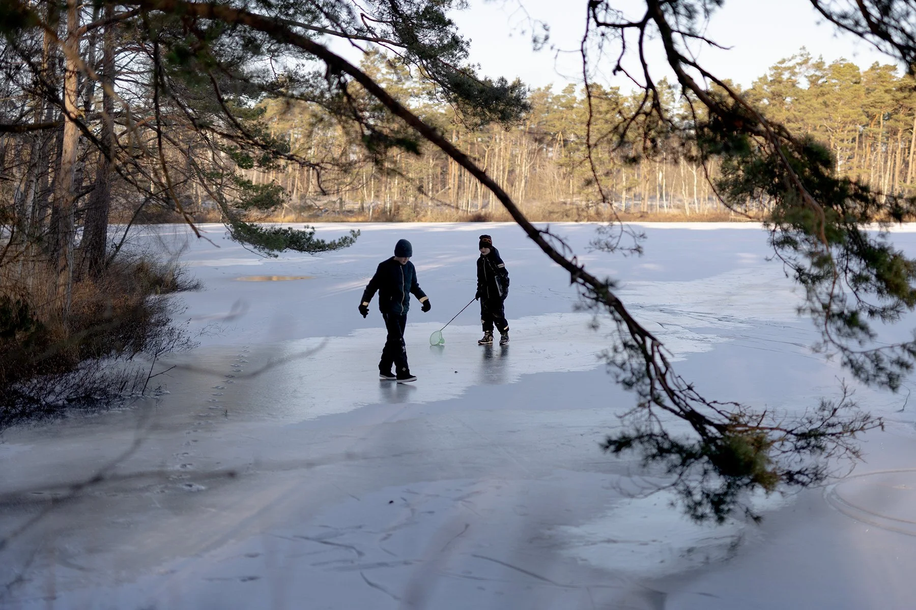 blogg-231203snoiskogenisen6.jpg