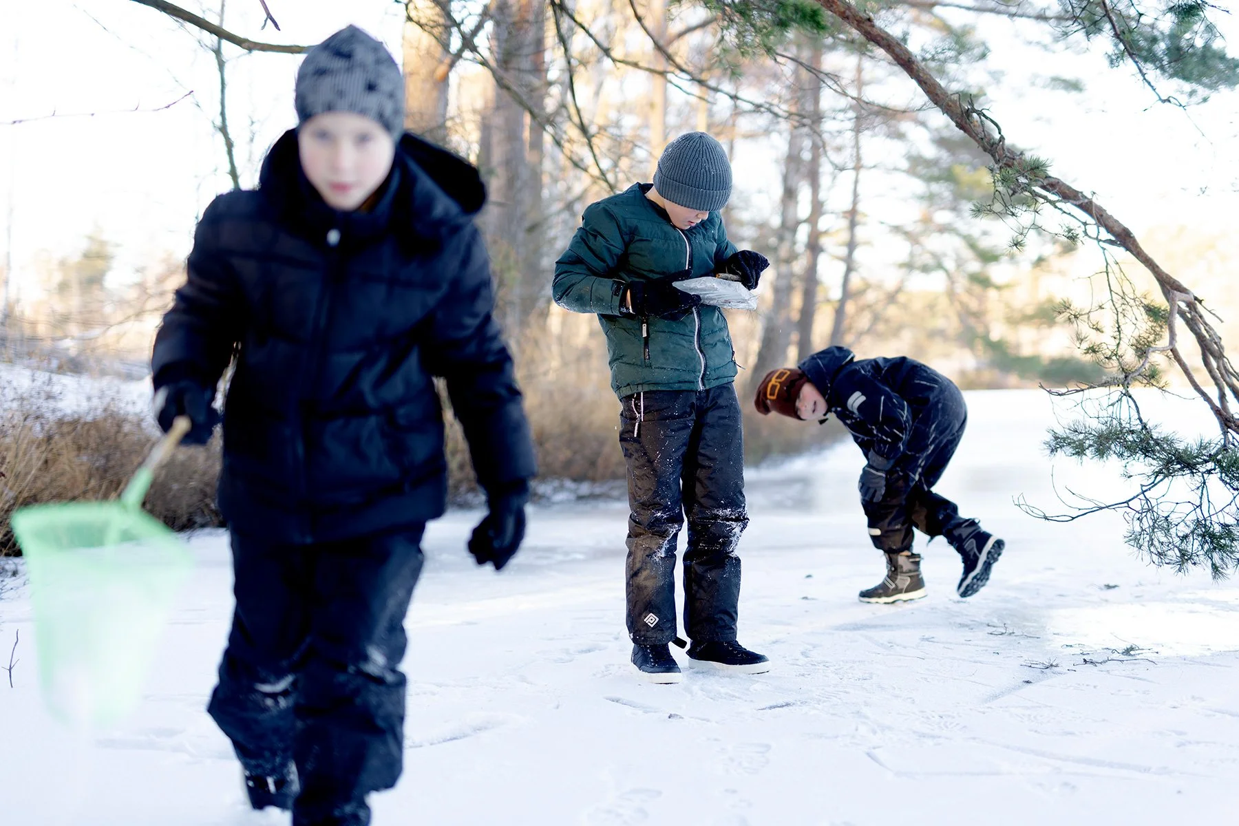 blogg-231203snoiskogenisen8.jpg