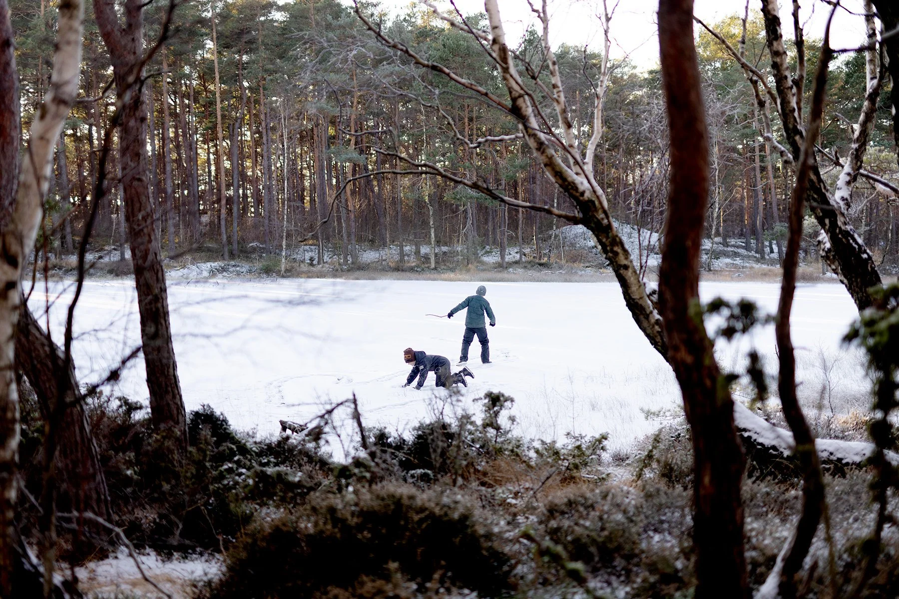 blogg-231203snoiskogenisen10.jpg